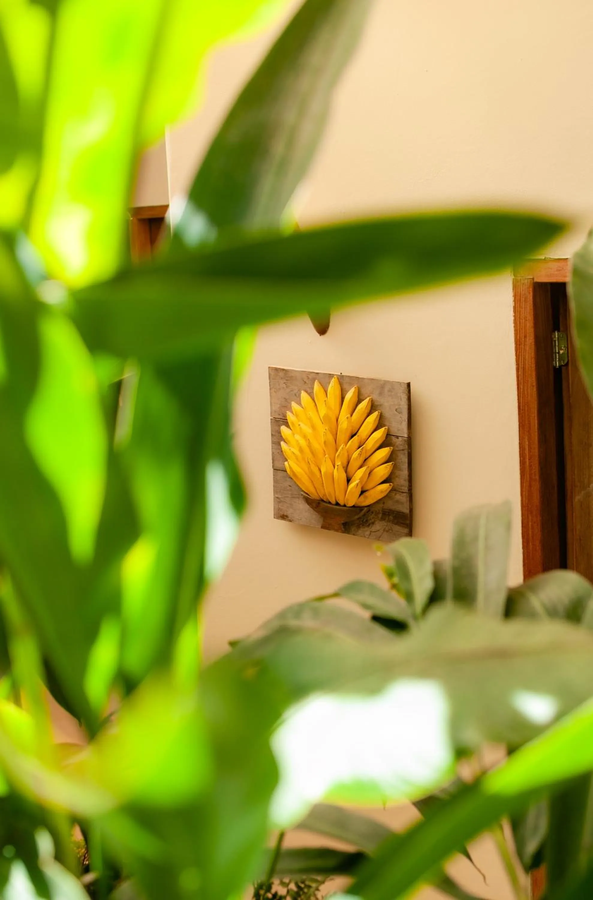 Casa Rabanete Trancoso