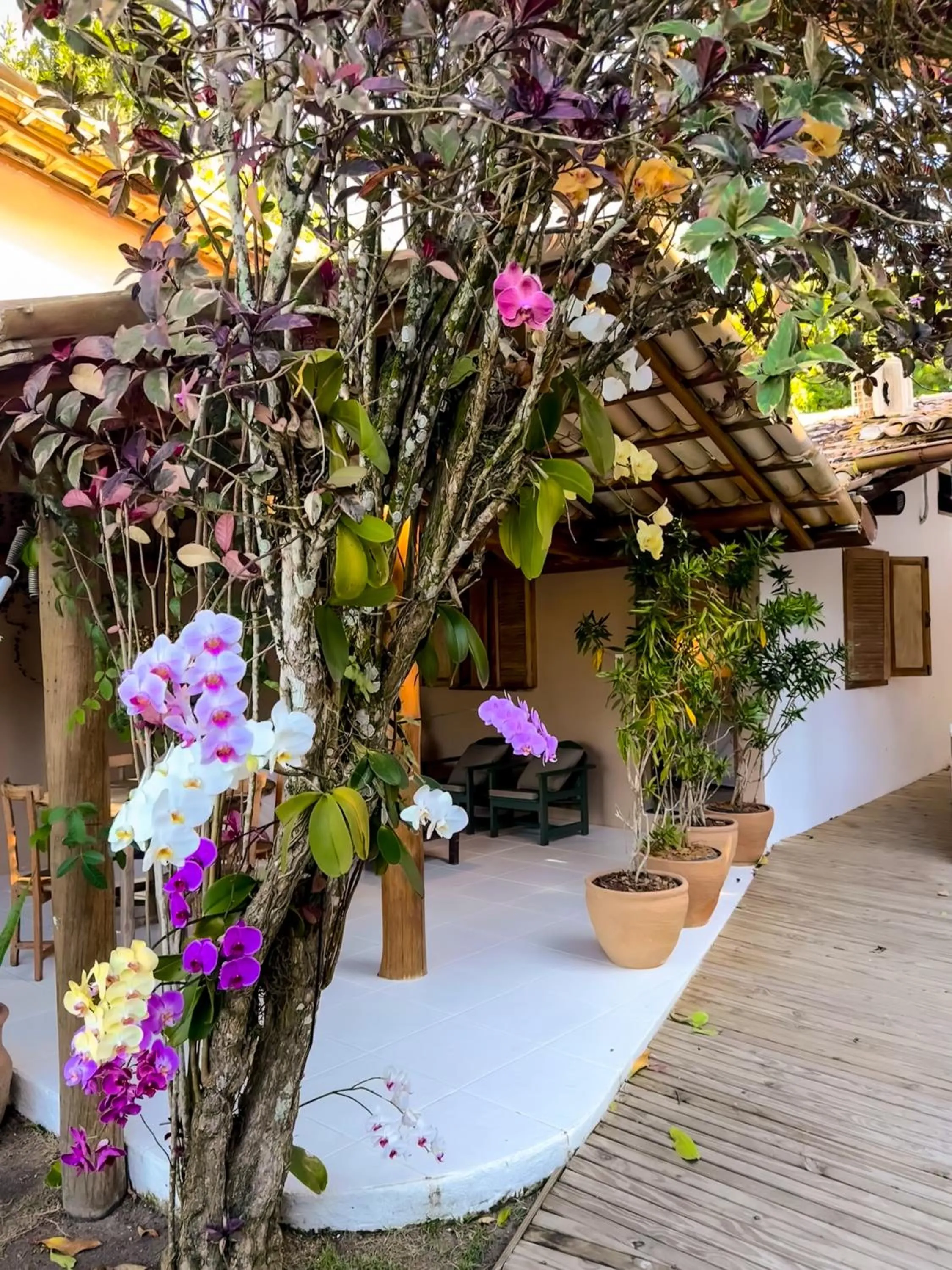 Casa Rabanete Trancoso