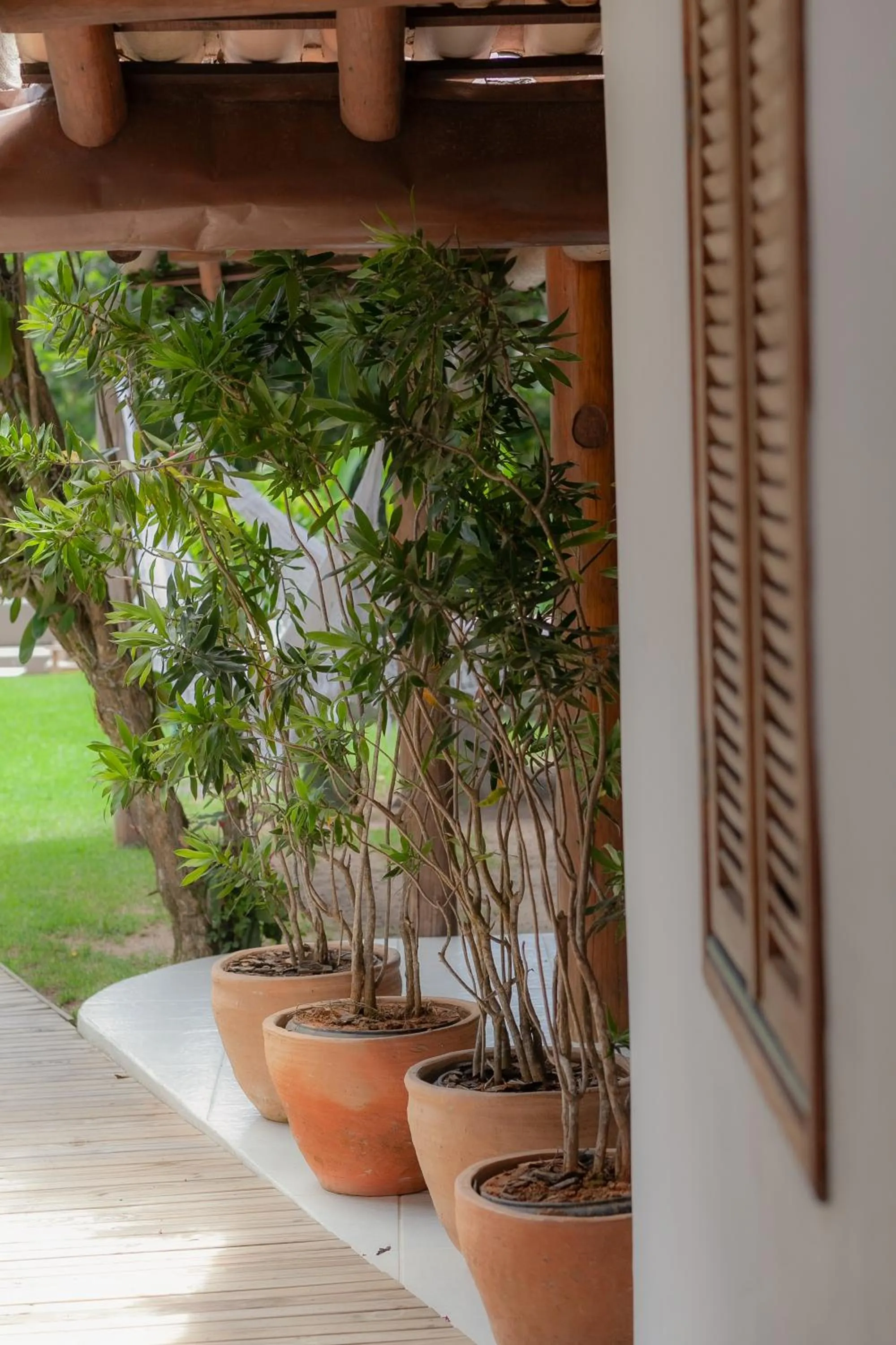 Casa Rabanete Trancoso