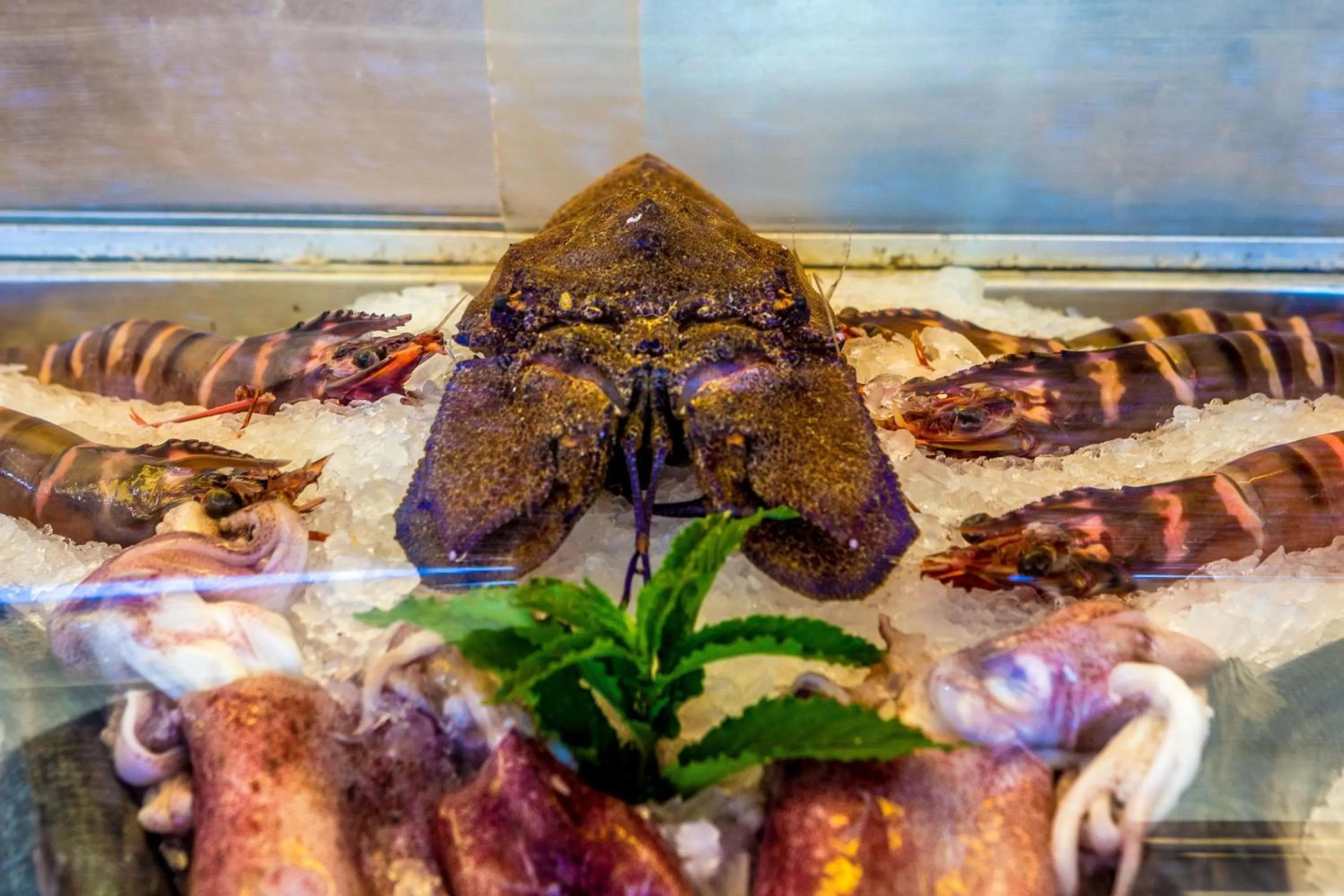 Food and drinks in Livikon by the Sea