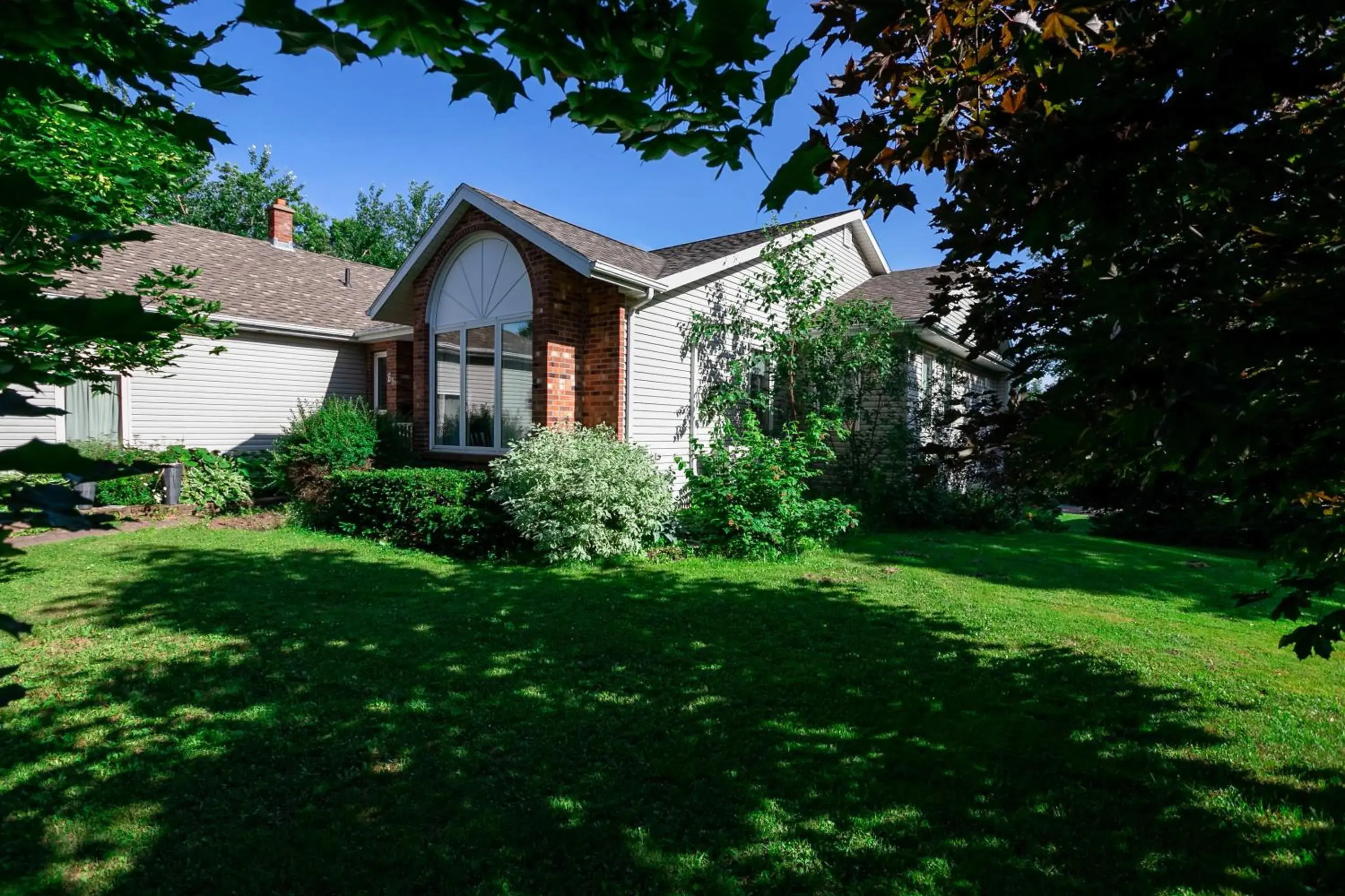 Lily's garden Lily's garden