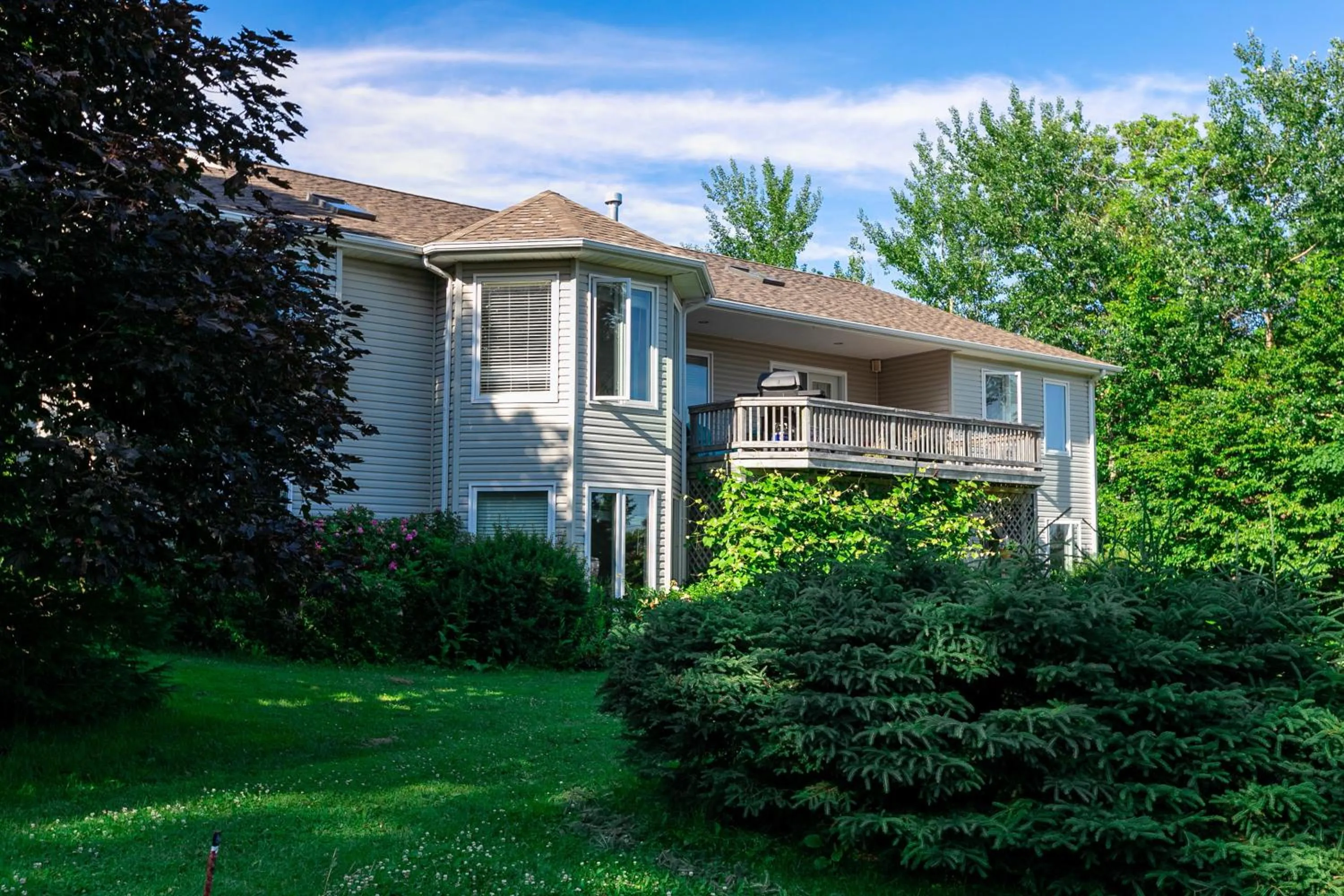 Property building in Lily's garden