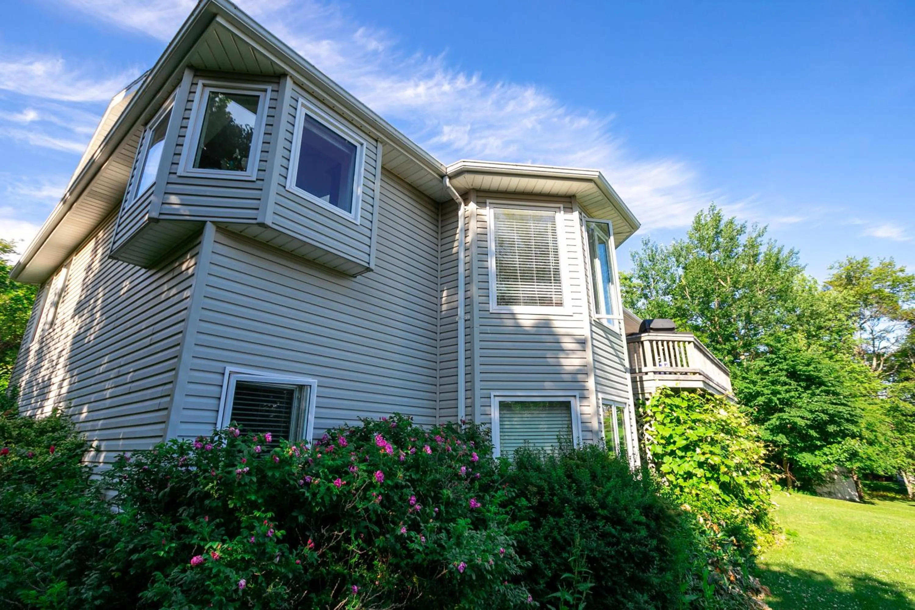 Property building in Lily's garden