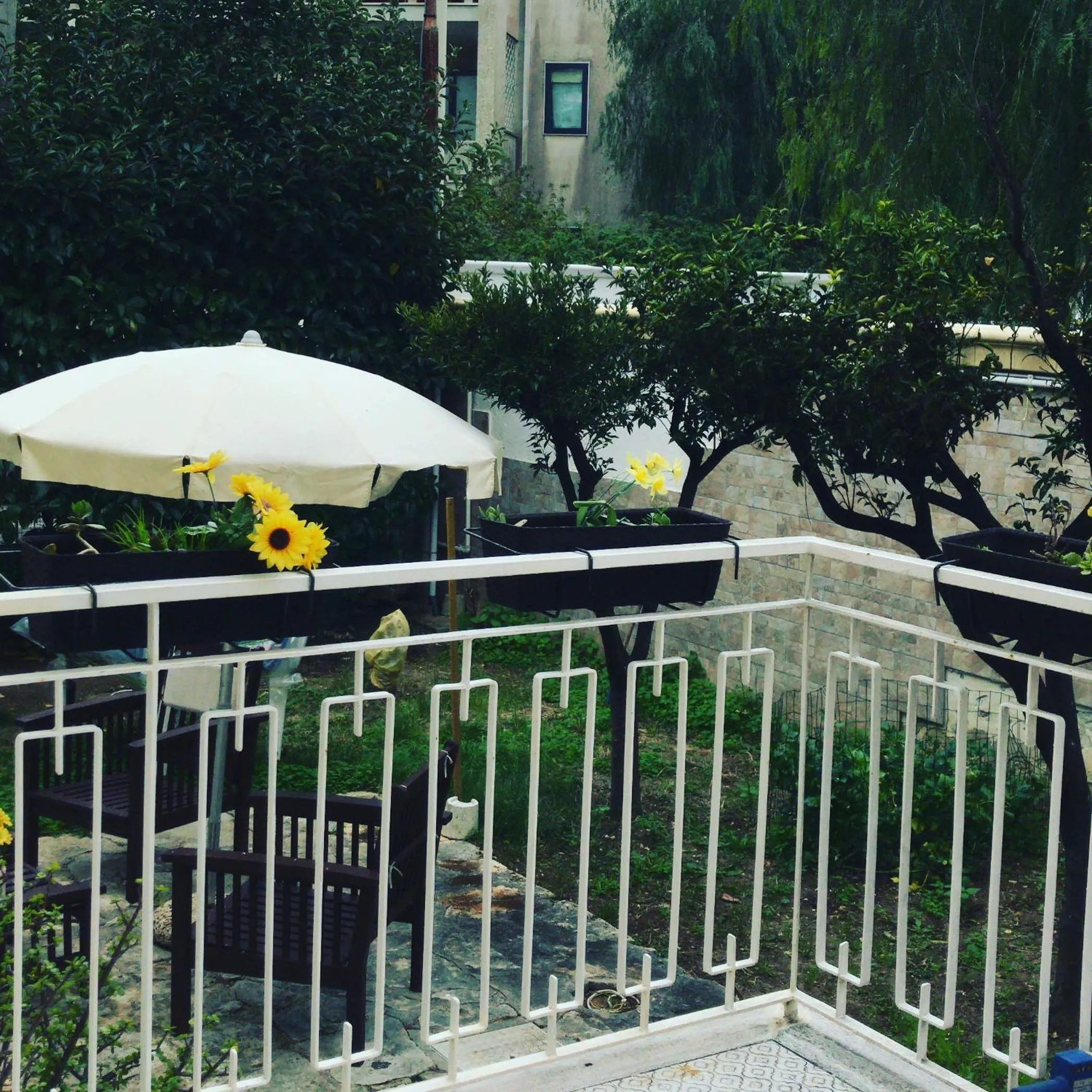 Villa Susanna B E B