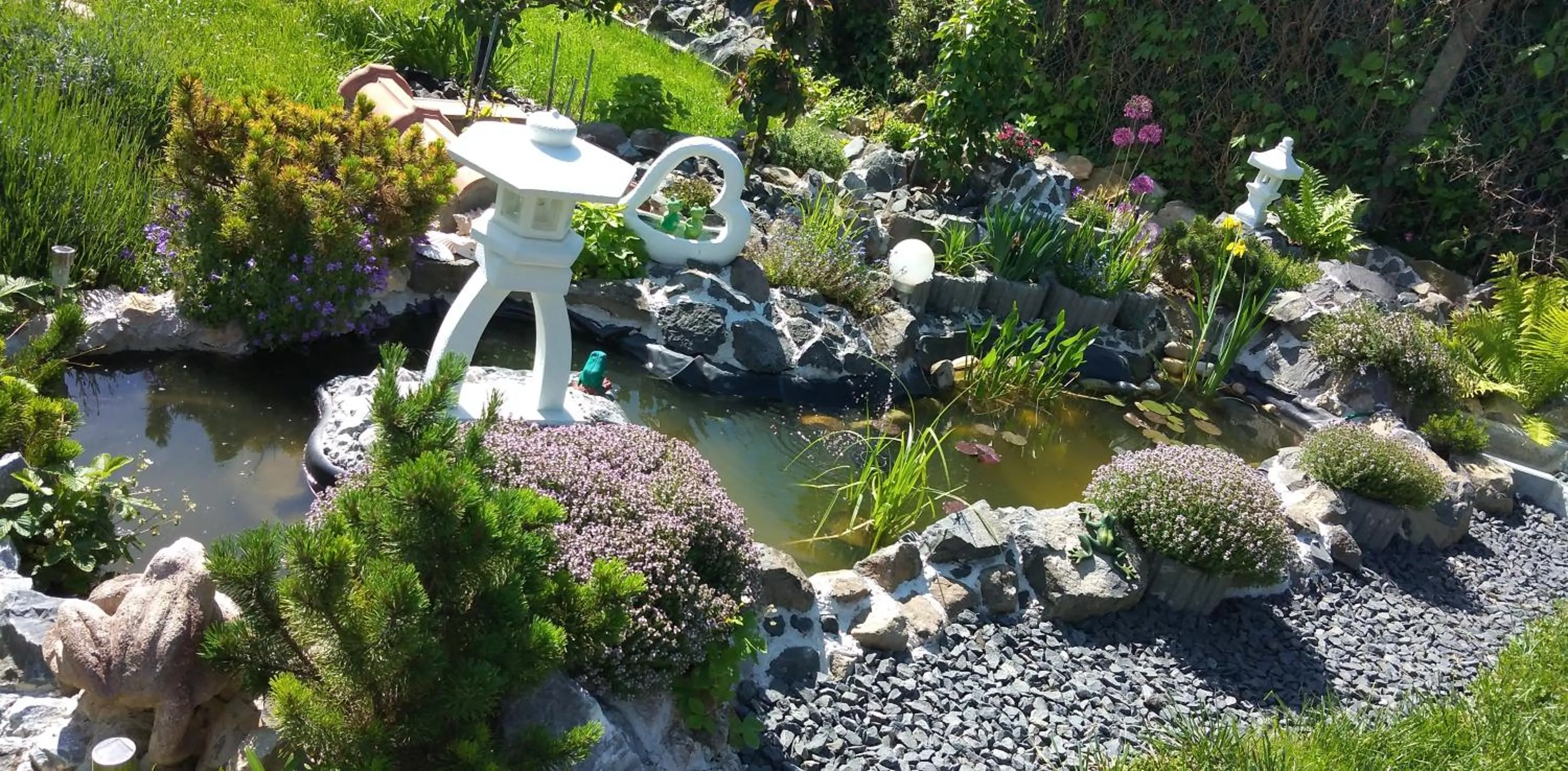 Garden view in Maxim Ház