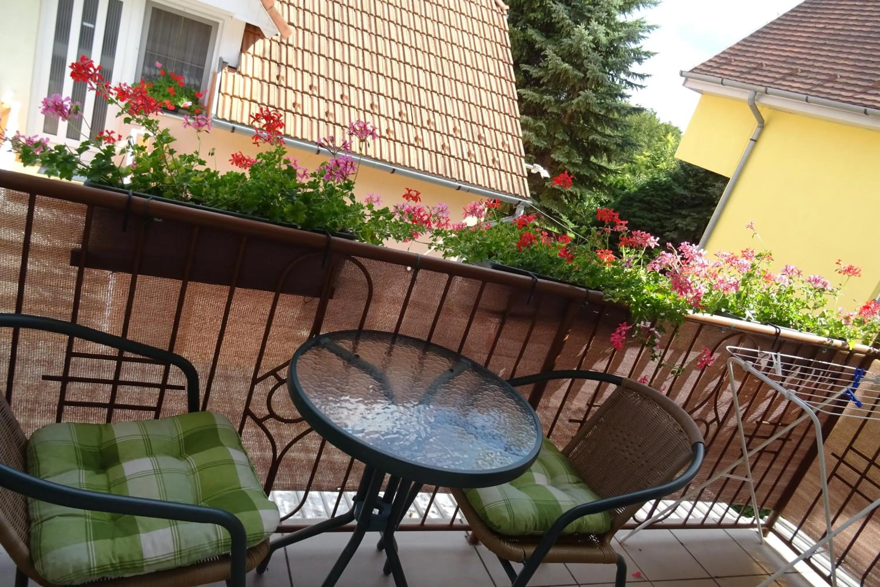 Inner courtyard view in Maxim Ház