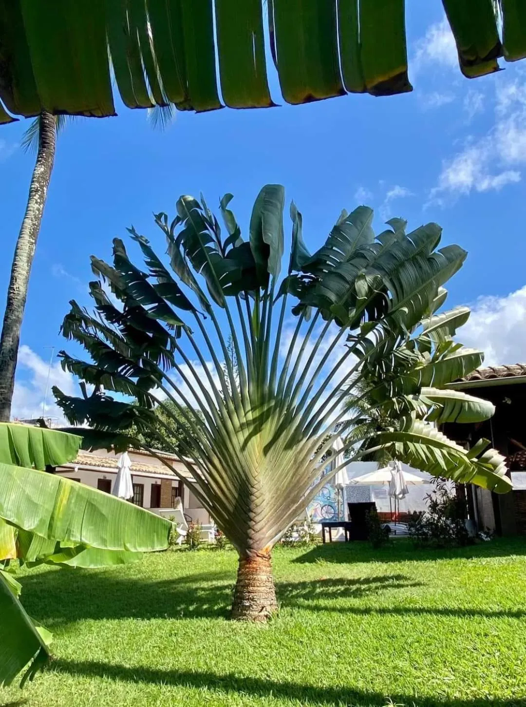 Hotel Pousada Salvador Paradise