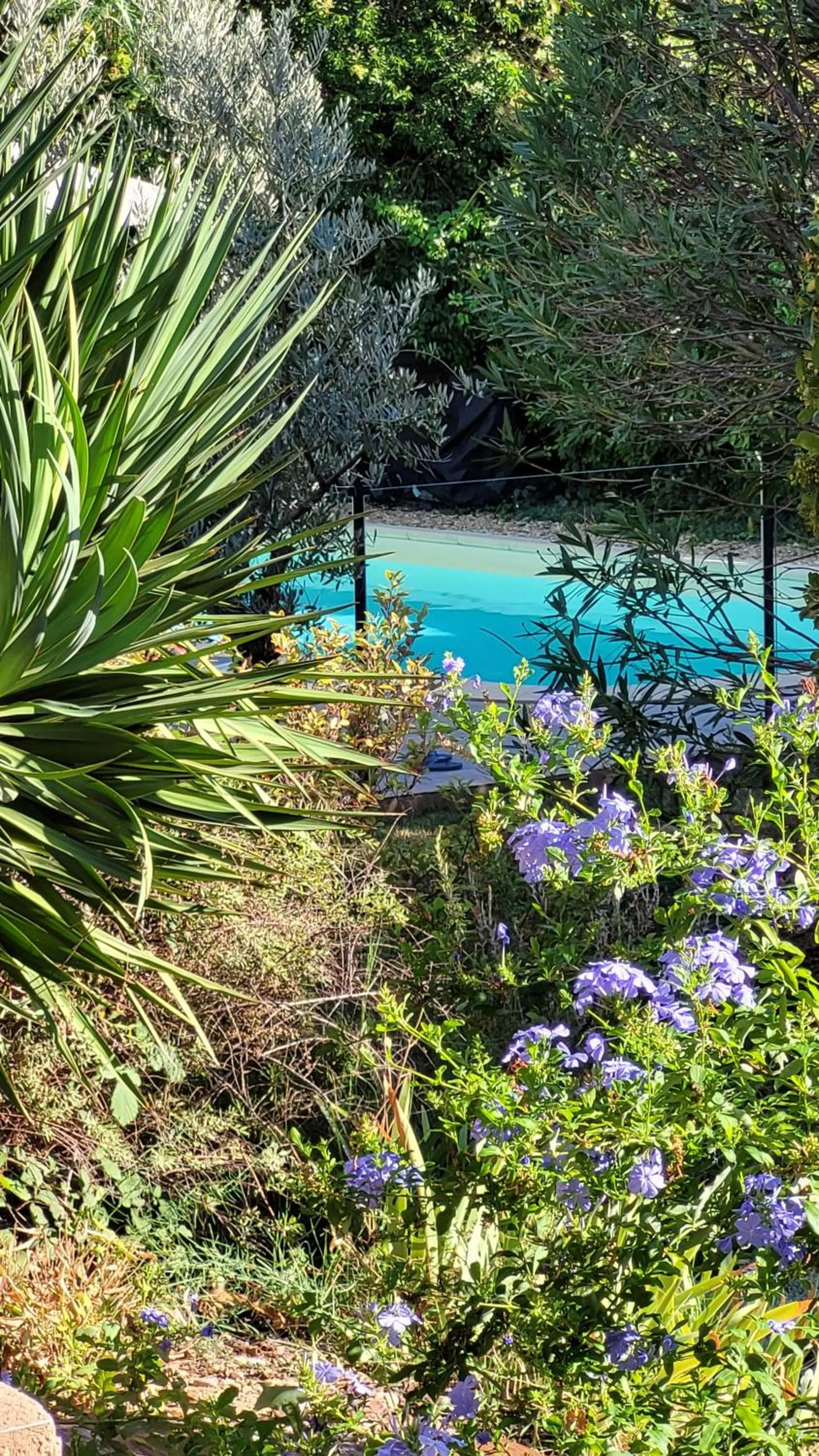 Garden in Mas des Marguerites