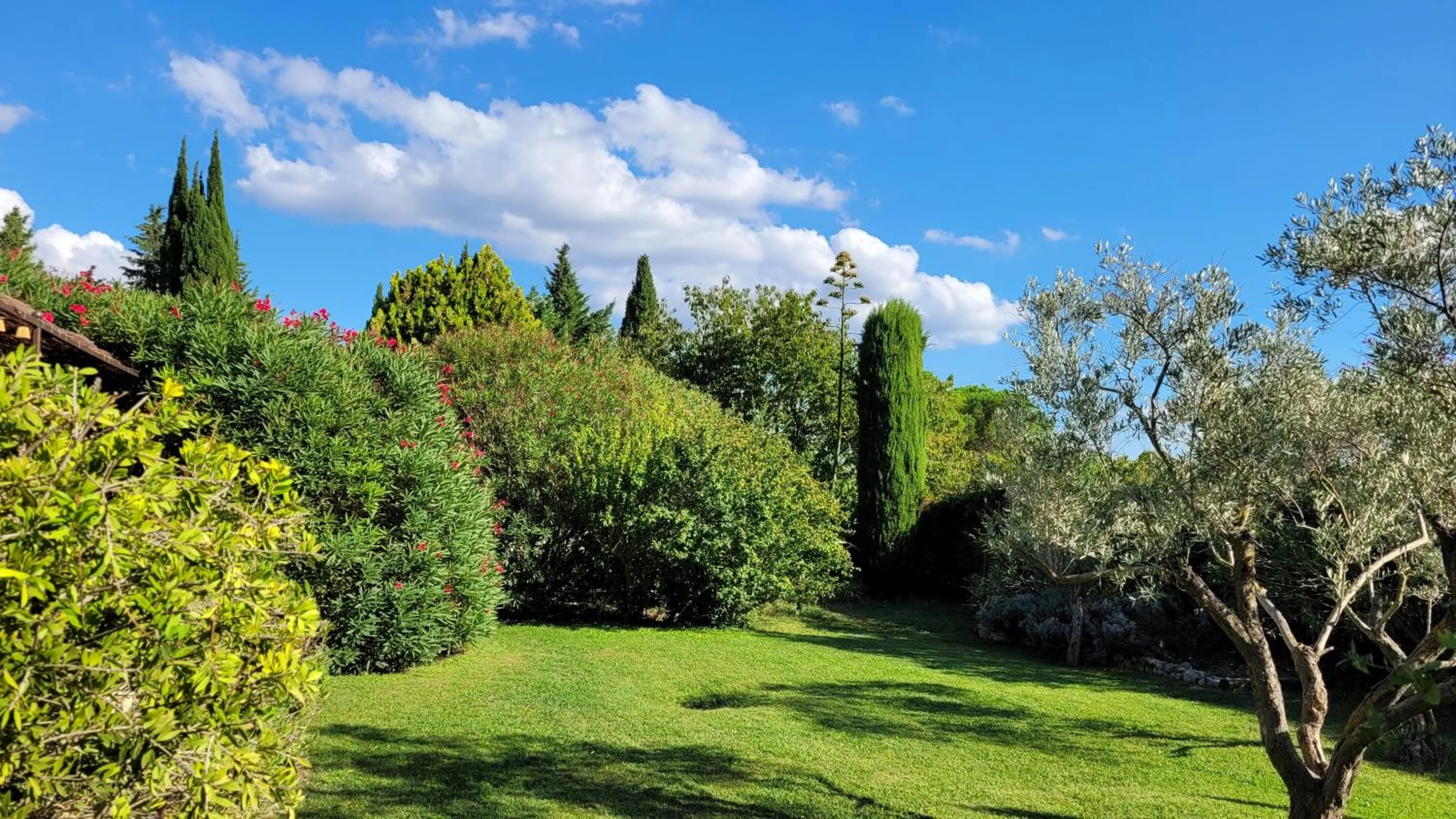 Garden in Mas des Marguerites