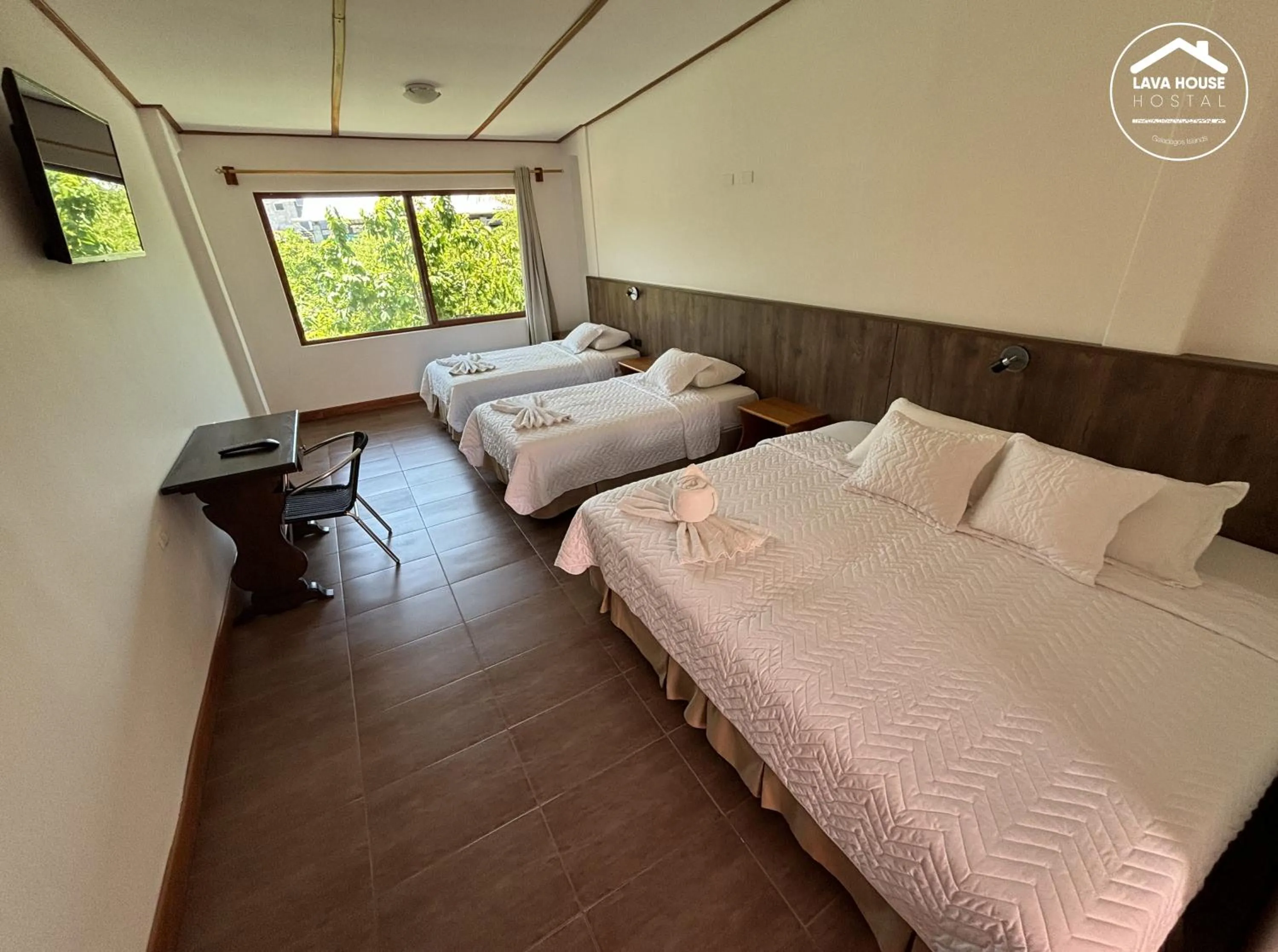 Bed in Lava House Hostal