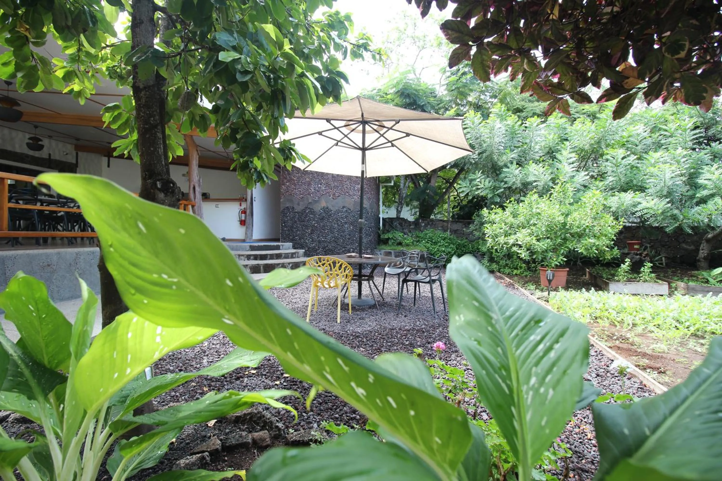 Patio in Lava House Hostal