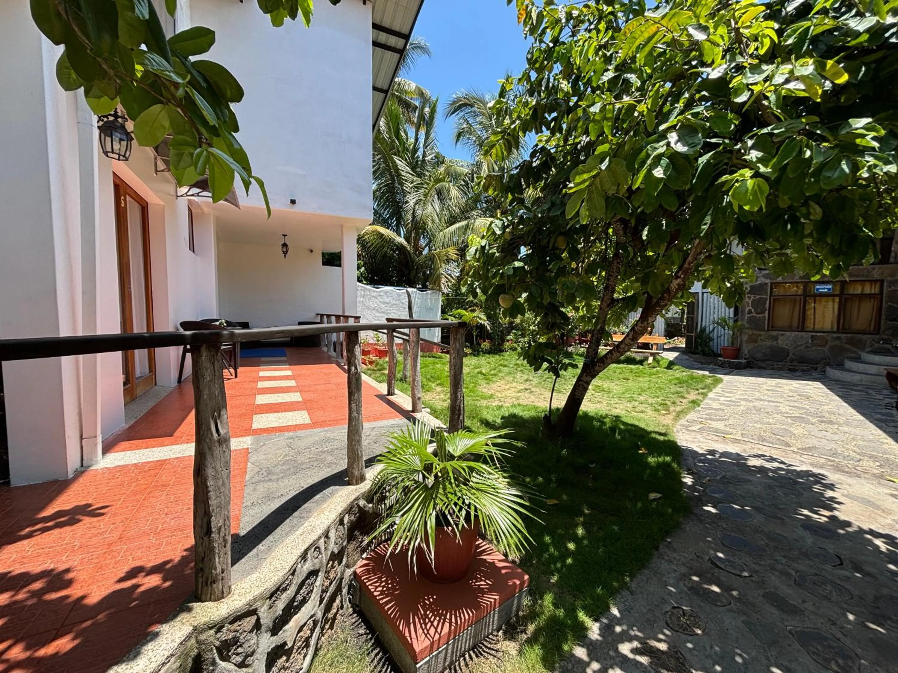 Garden in Lava House Hostal