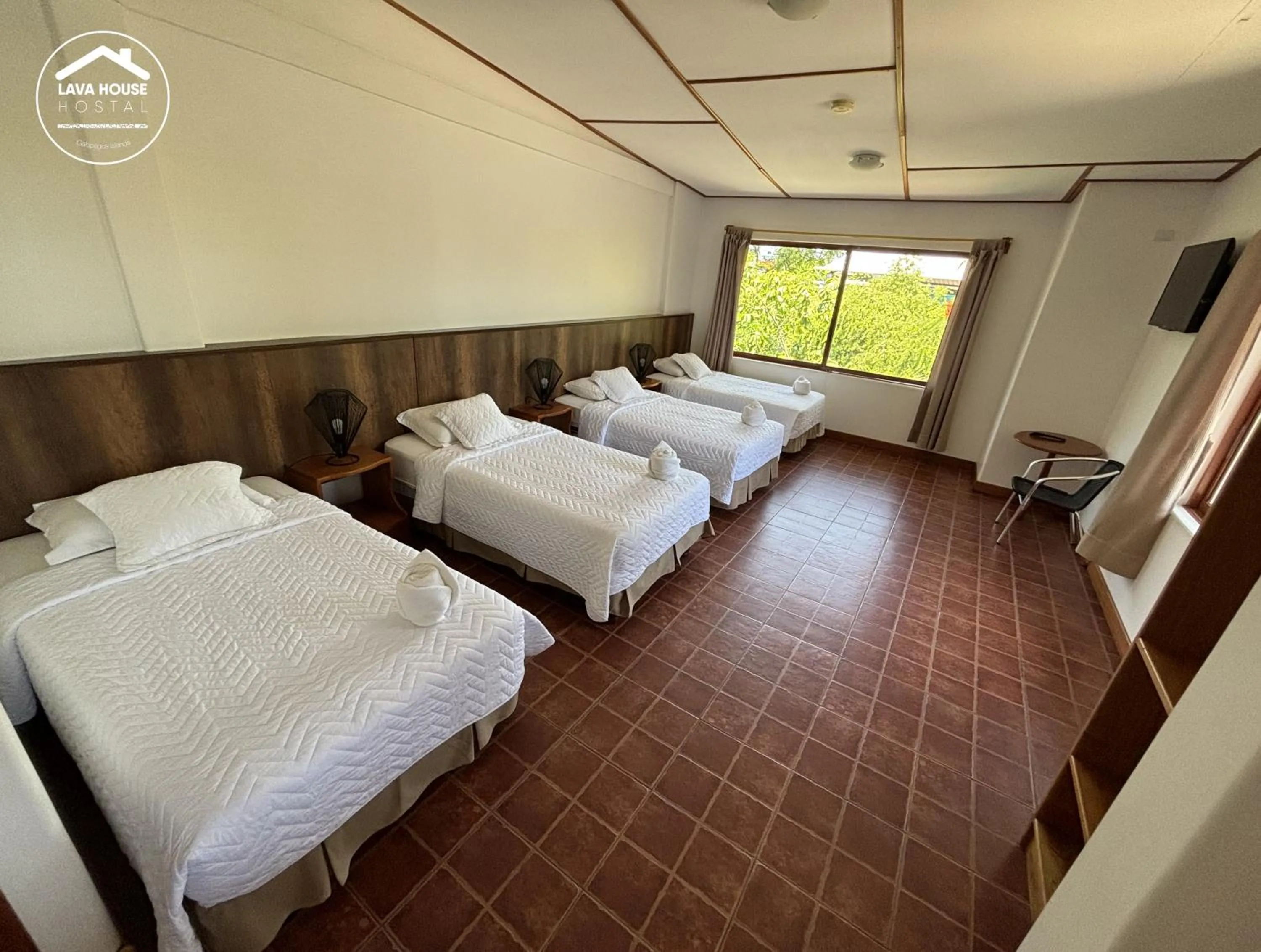 Bed in Lava House Hostal