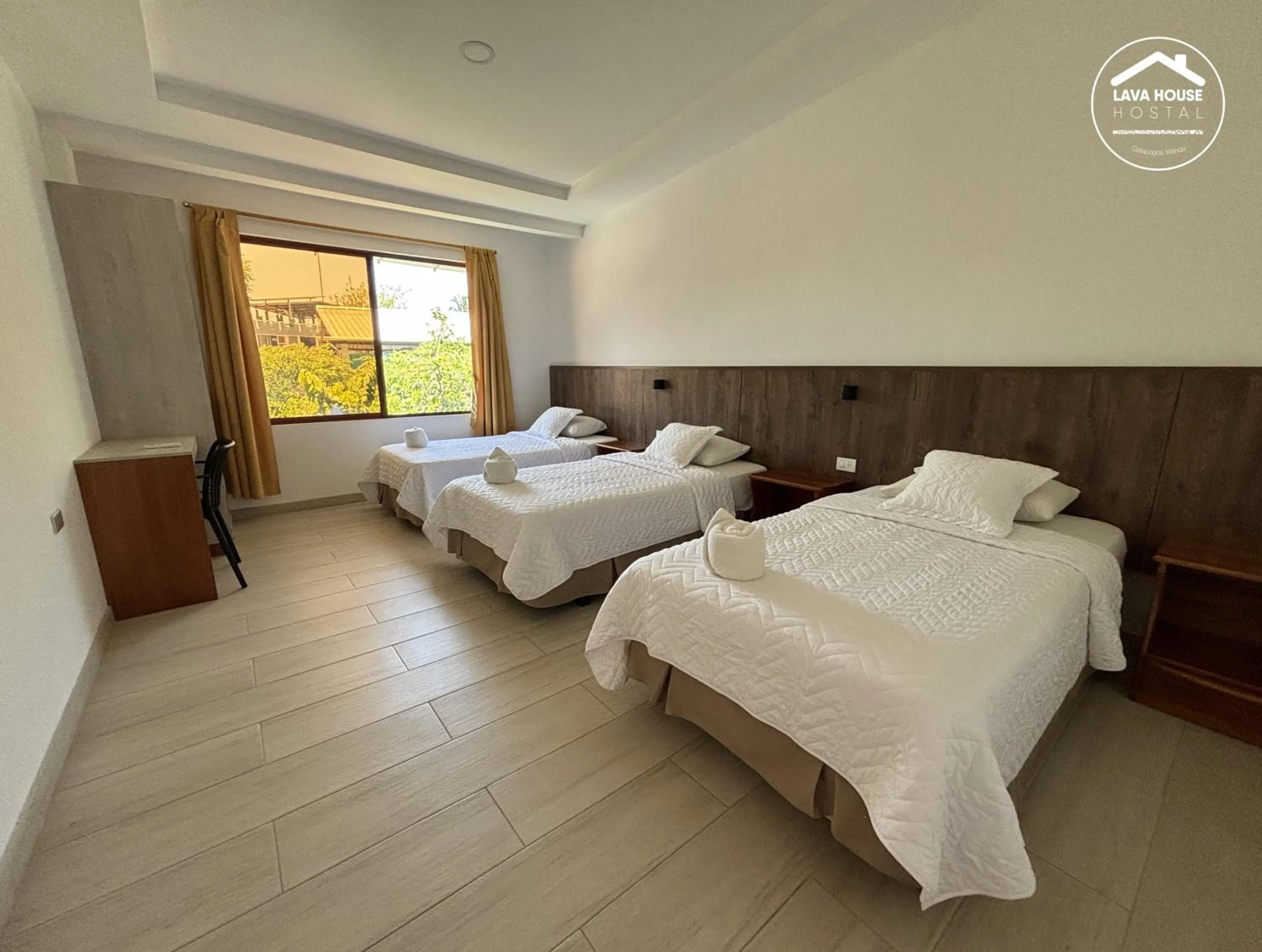Bed in Lava House Hostal