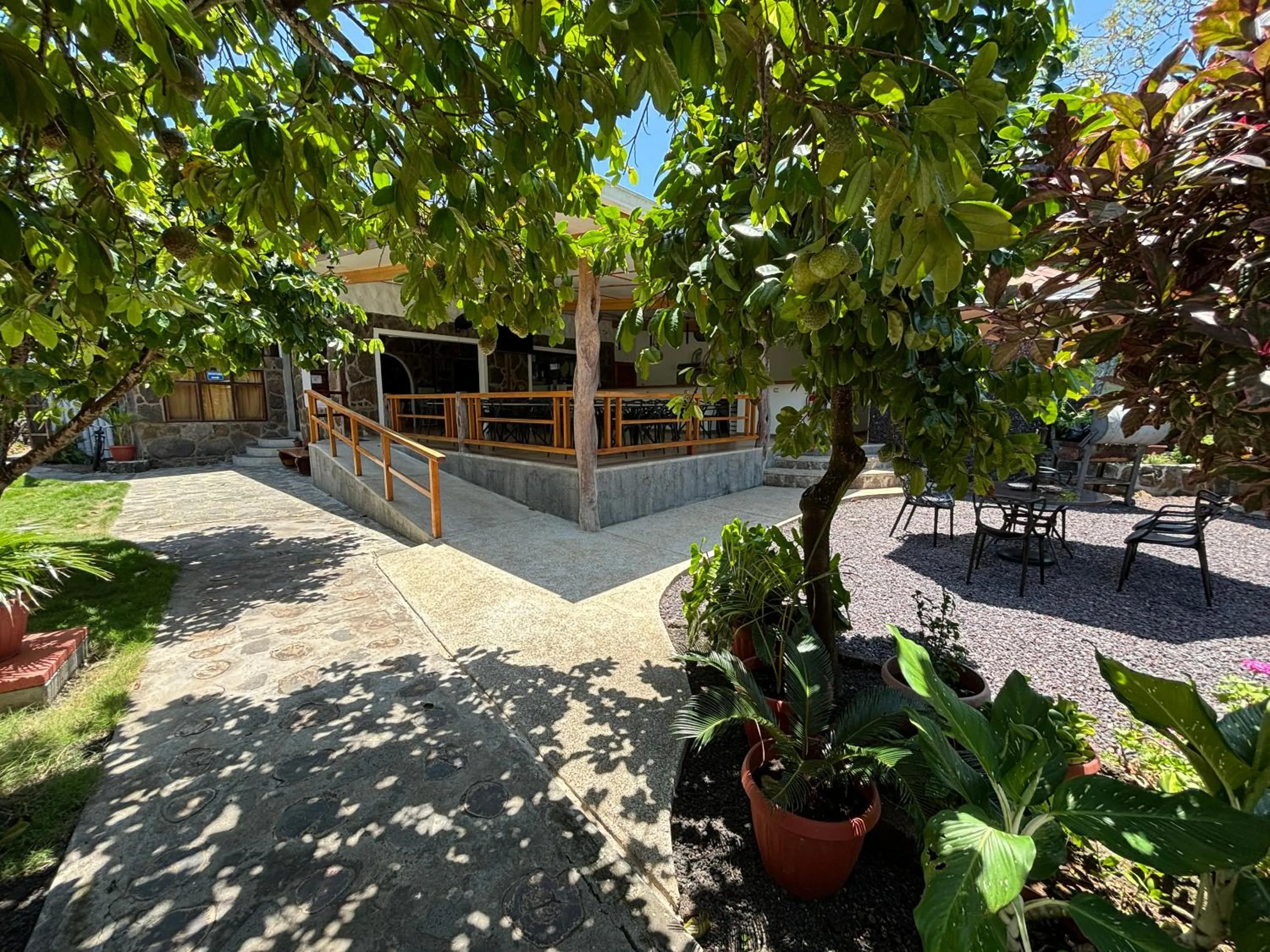 Garden in Lava House Hostal
