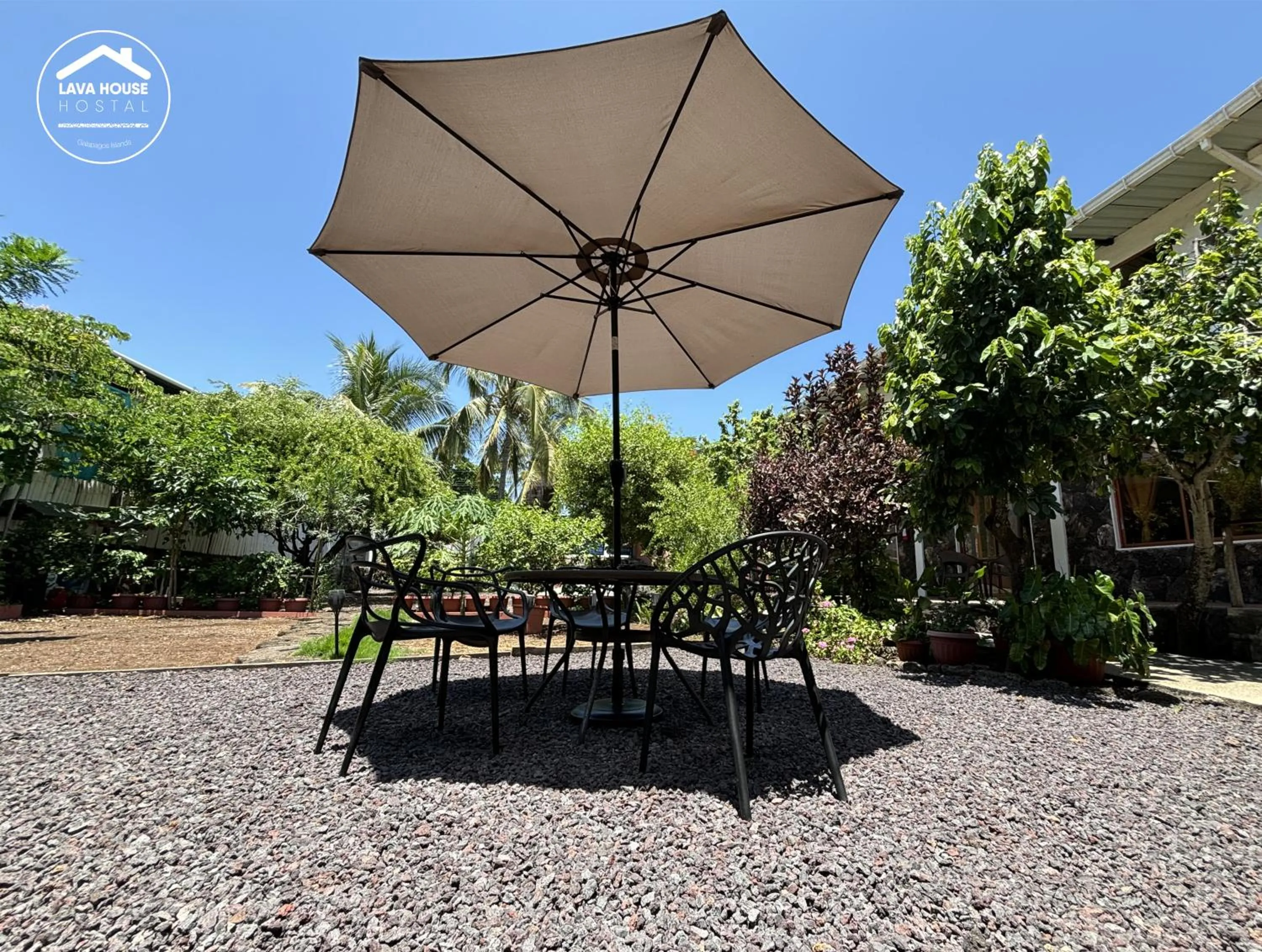 Patio in Lava House Hostal