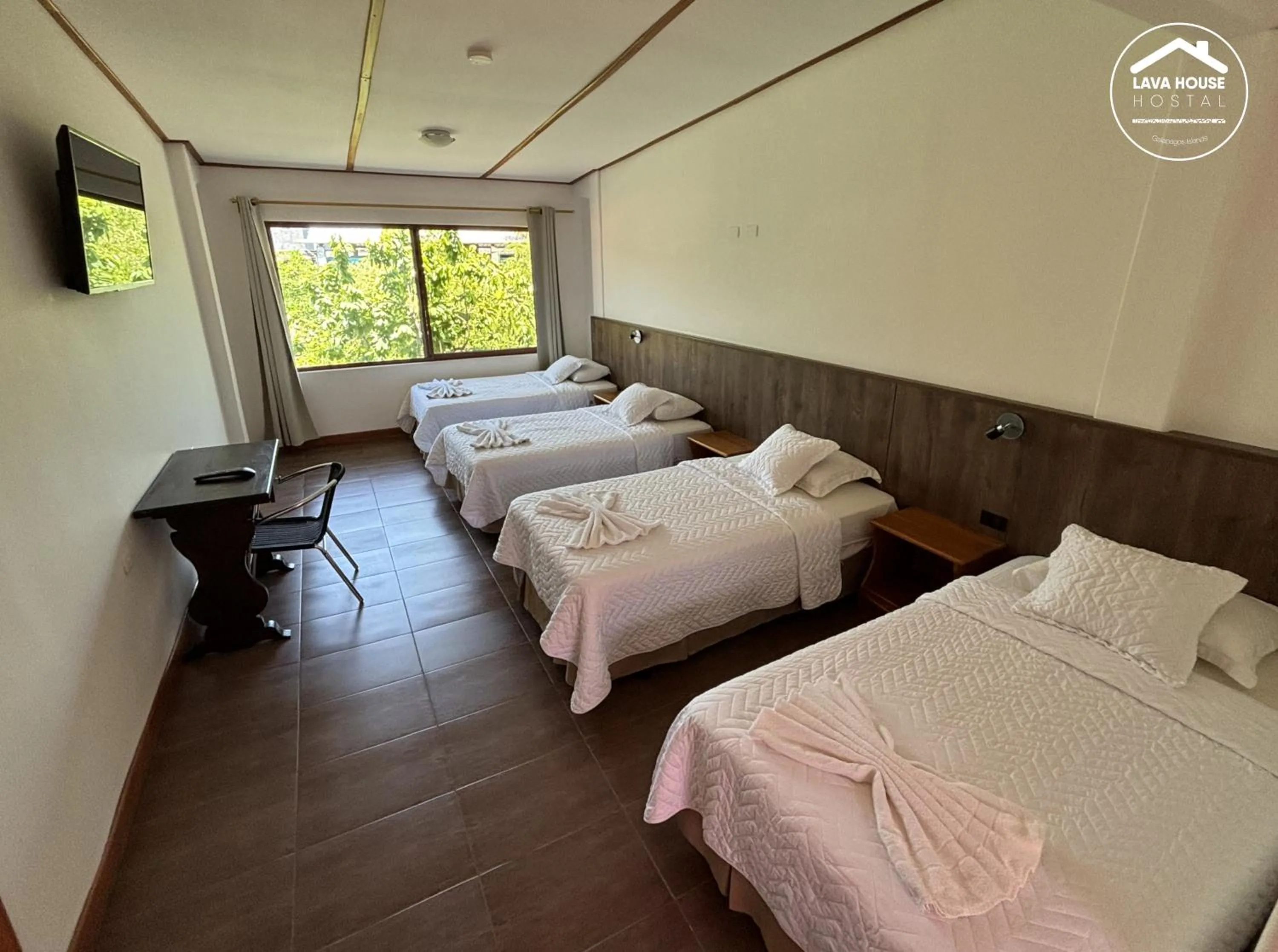 Bed in Lava House Hostal