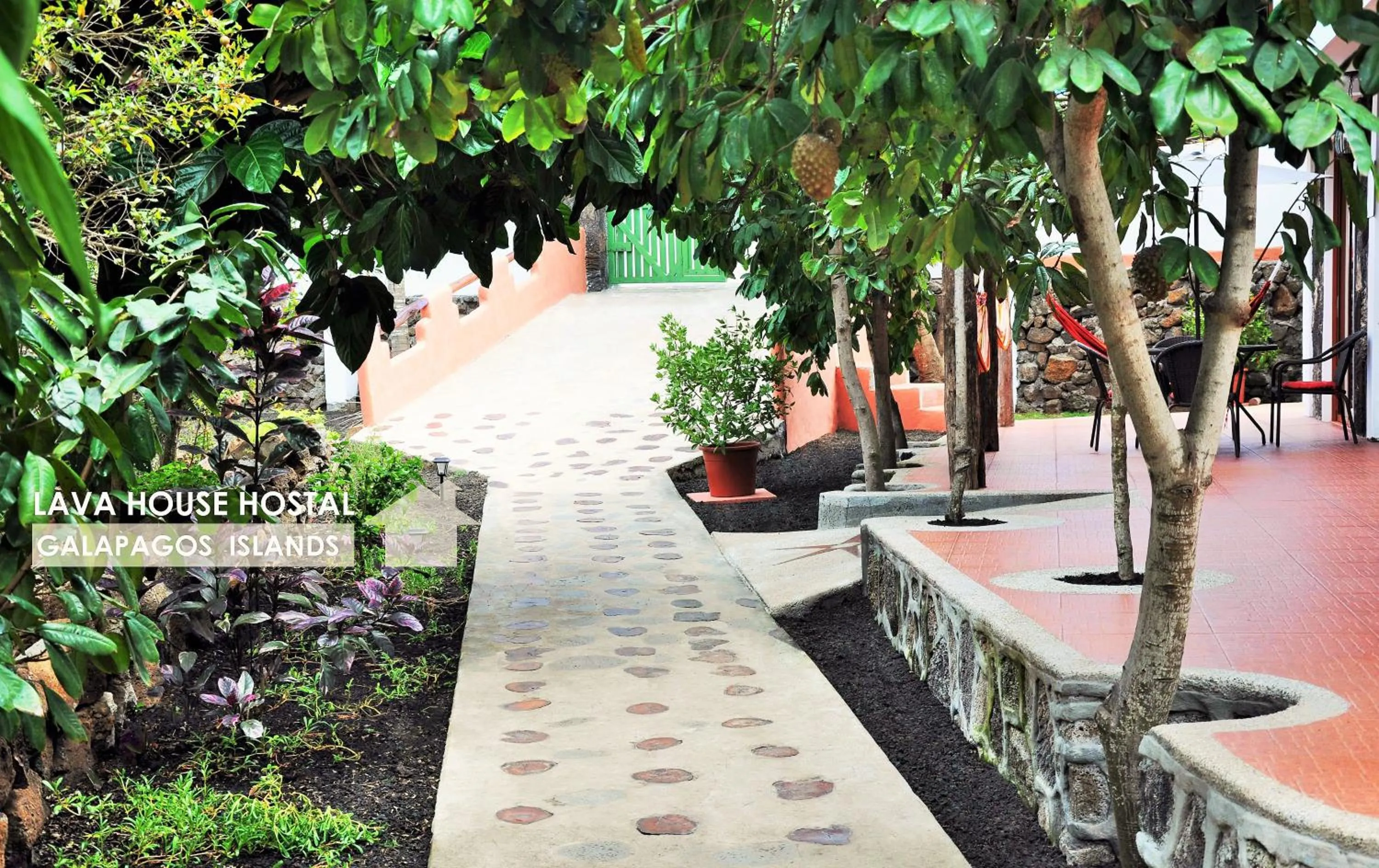 Patio in Lava House Hostal