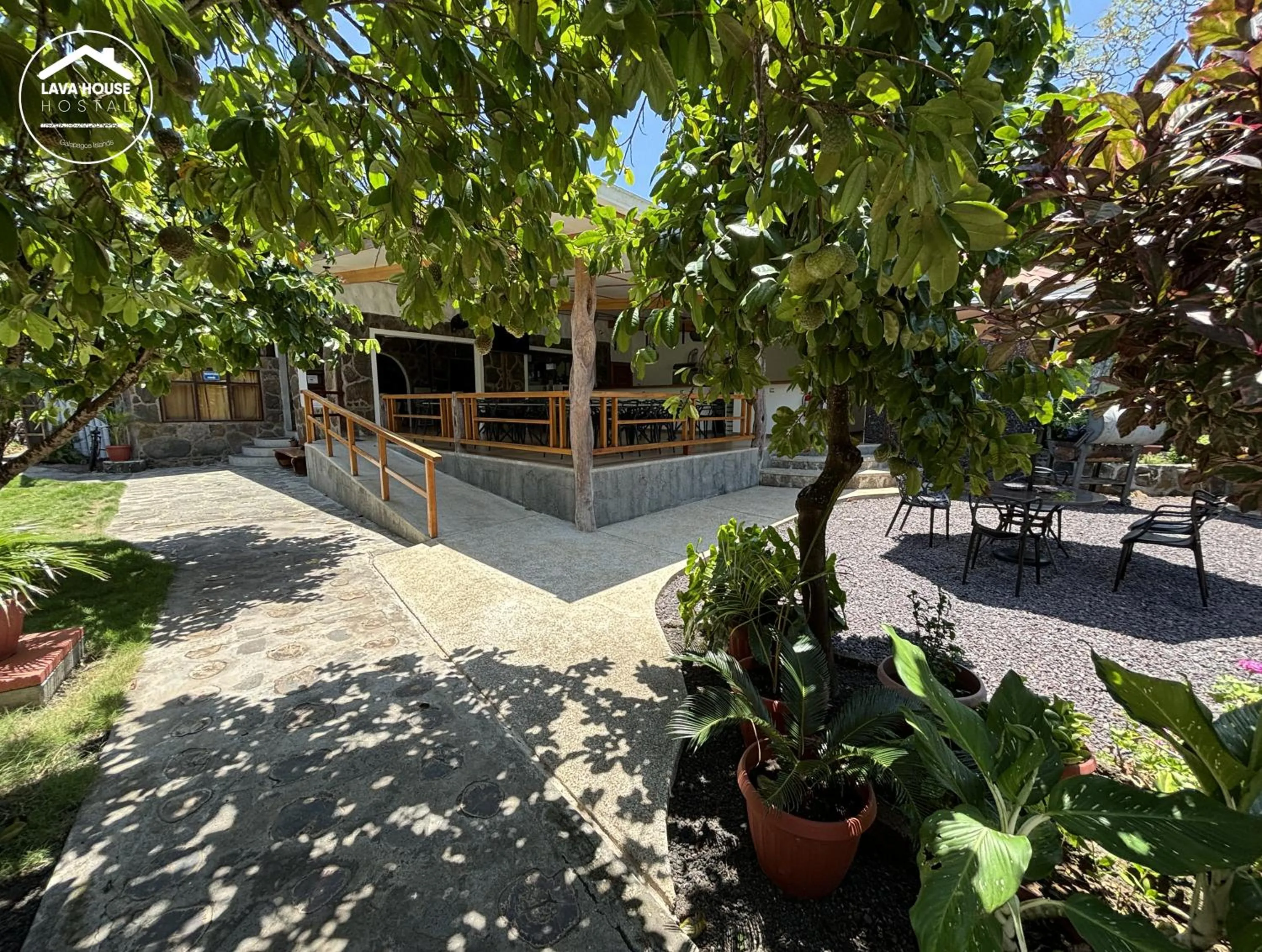 Spring in Lava House Hostal