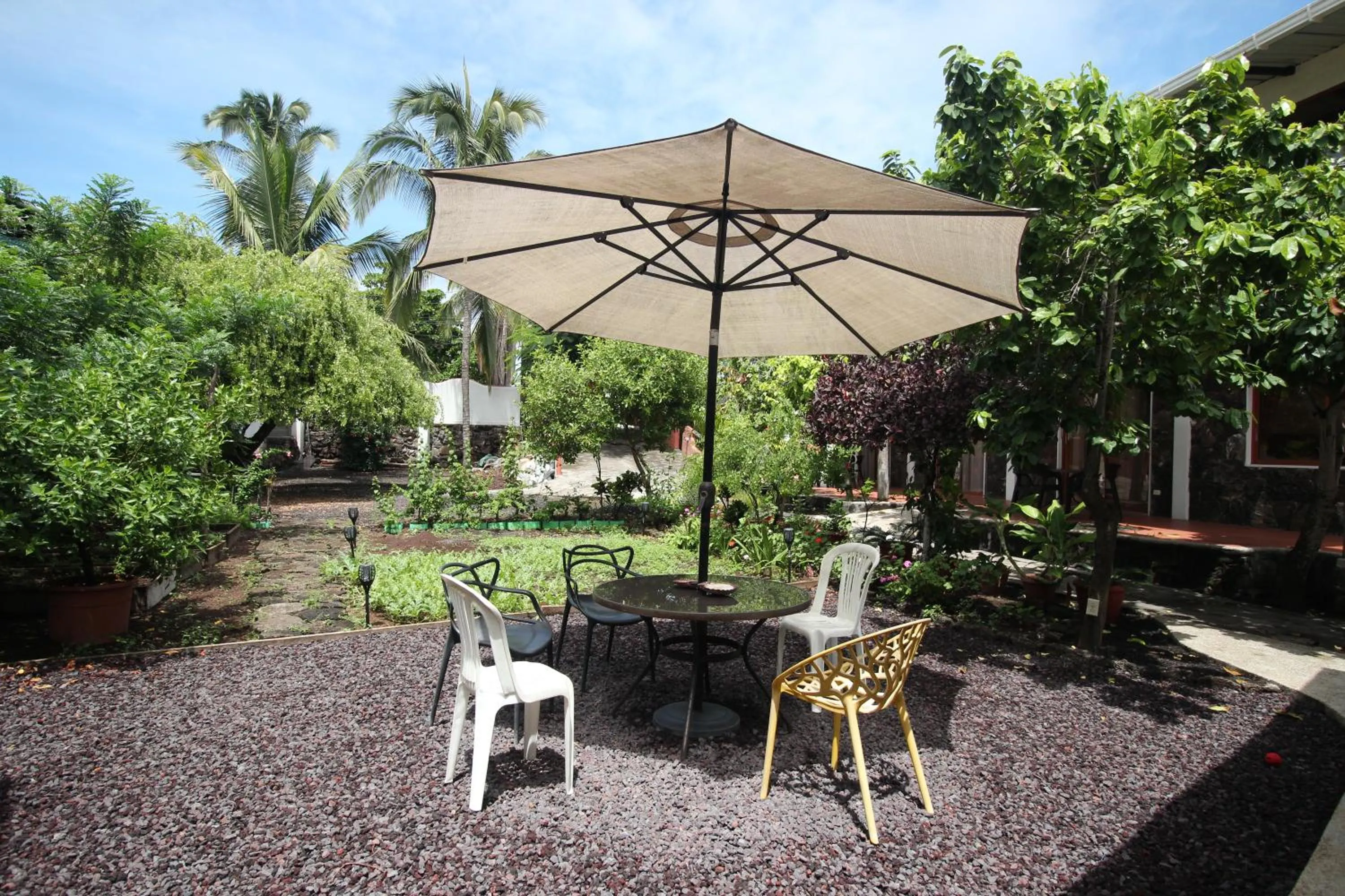 Patio in Lava House Hostal