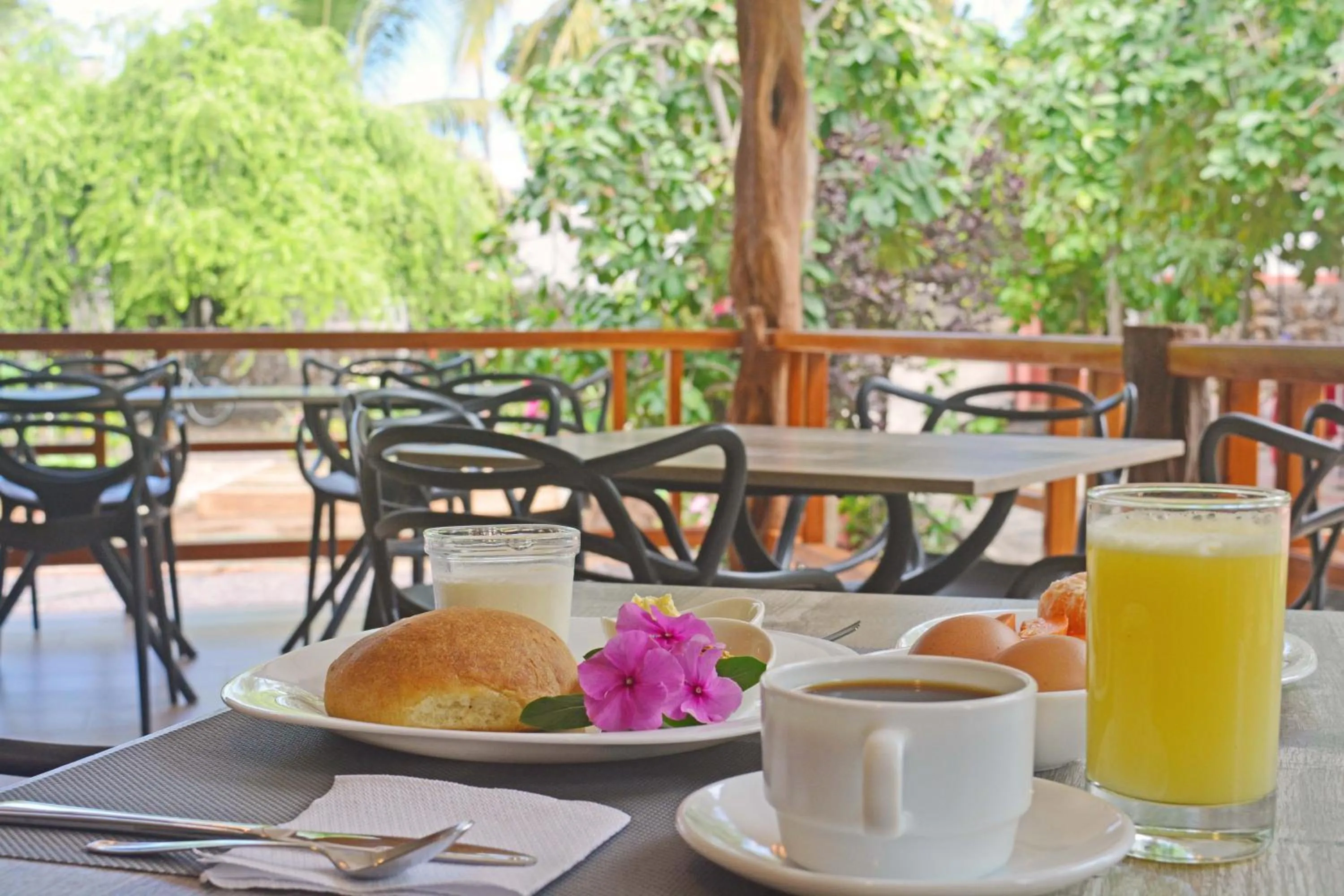 Food and drinks in Lava House Hostal