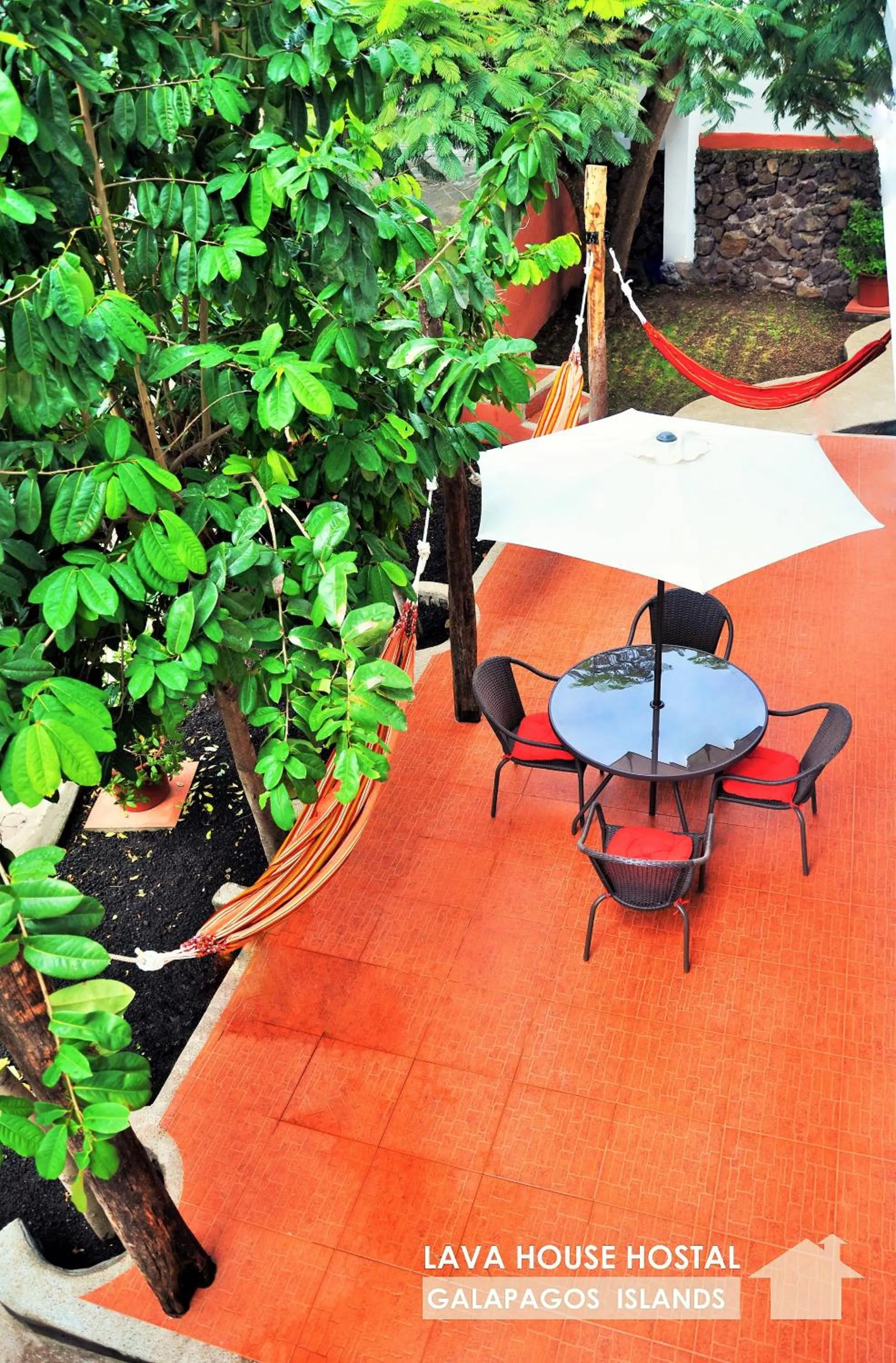 Patio in Lava House Hostal