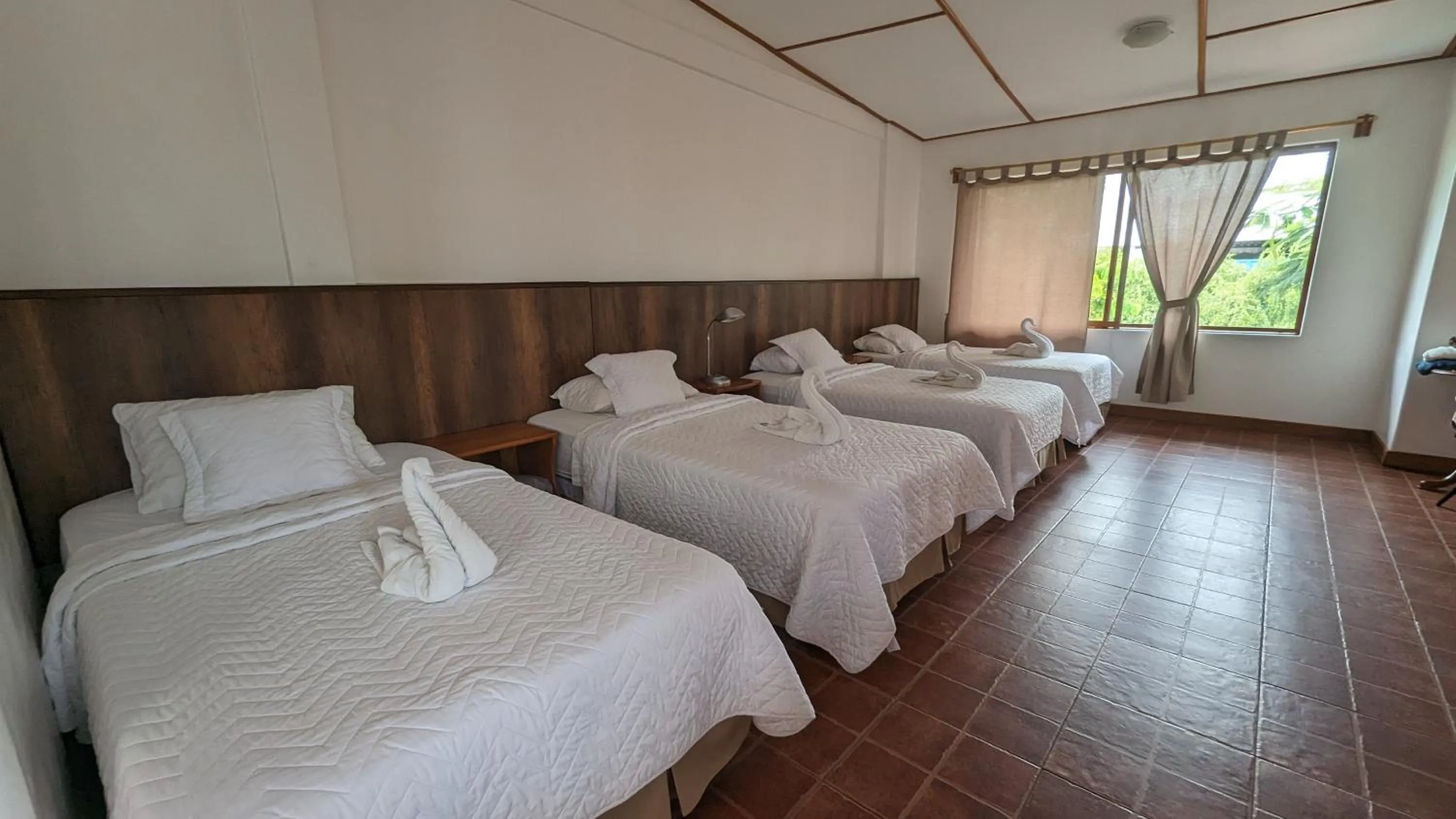 Bed in Lava House Hostal