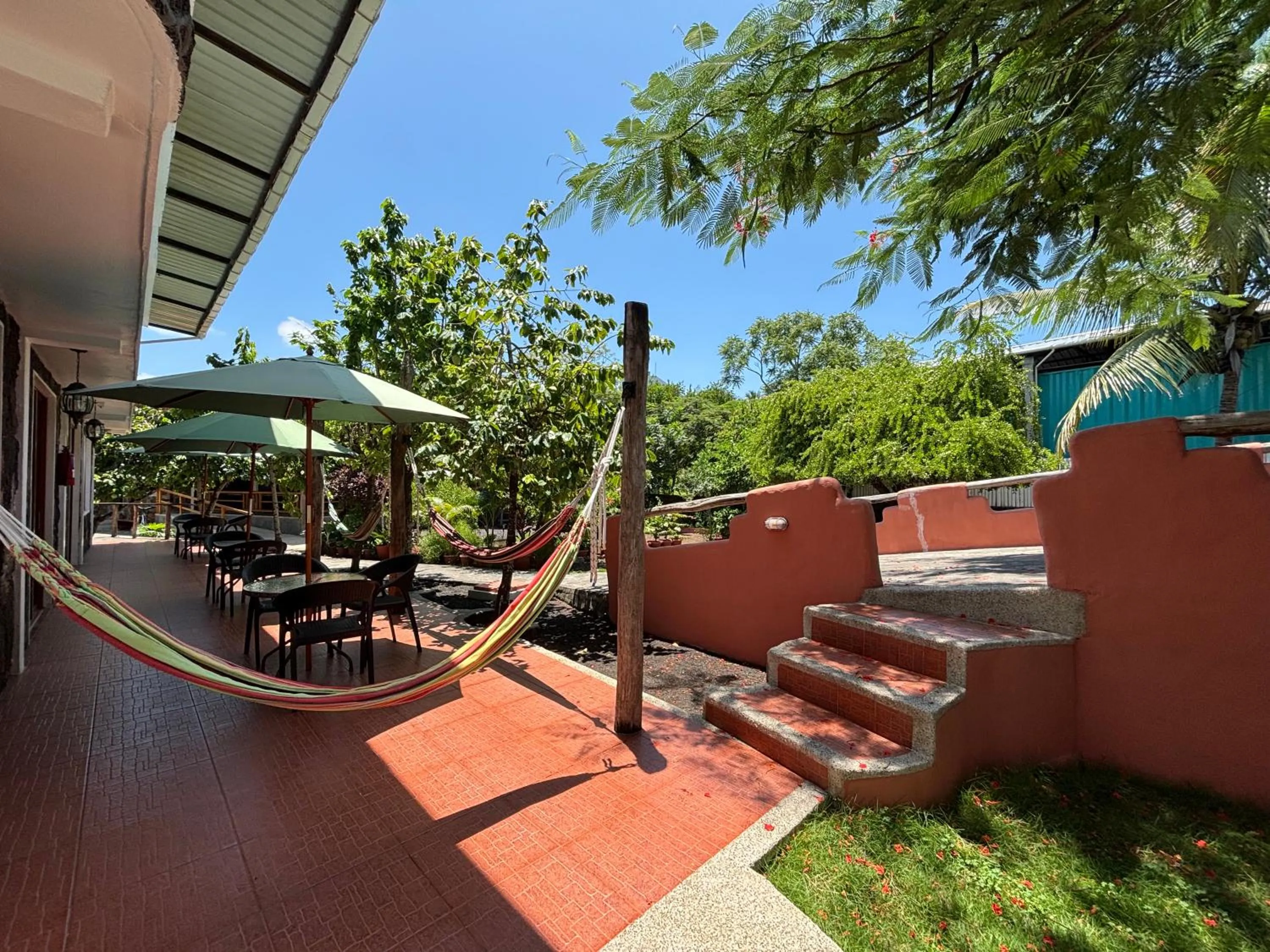 Garden in Lava House Hostal