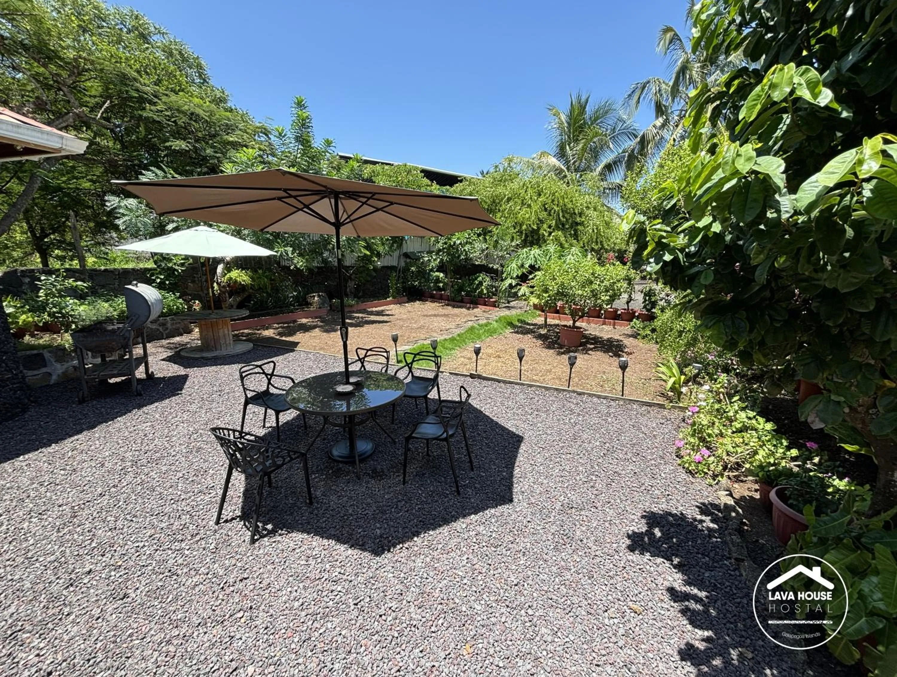 Patio in Lava House Hostal