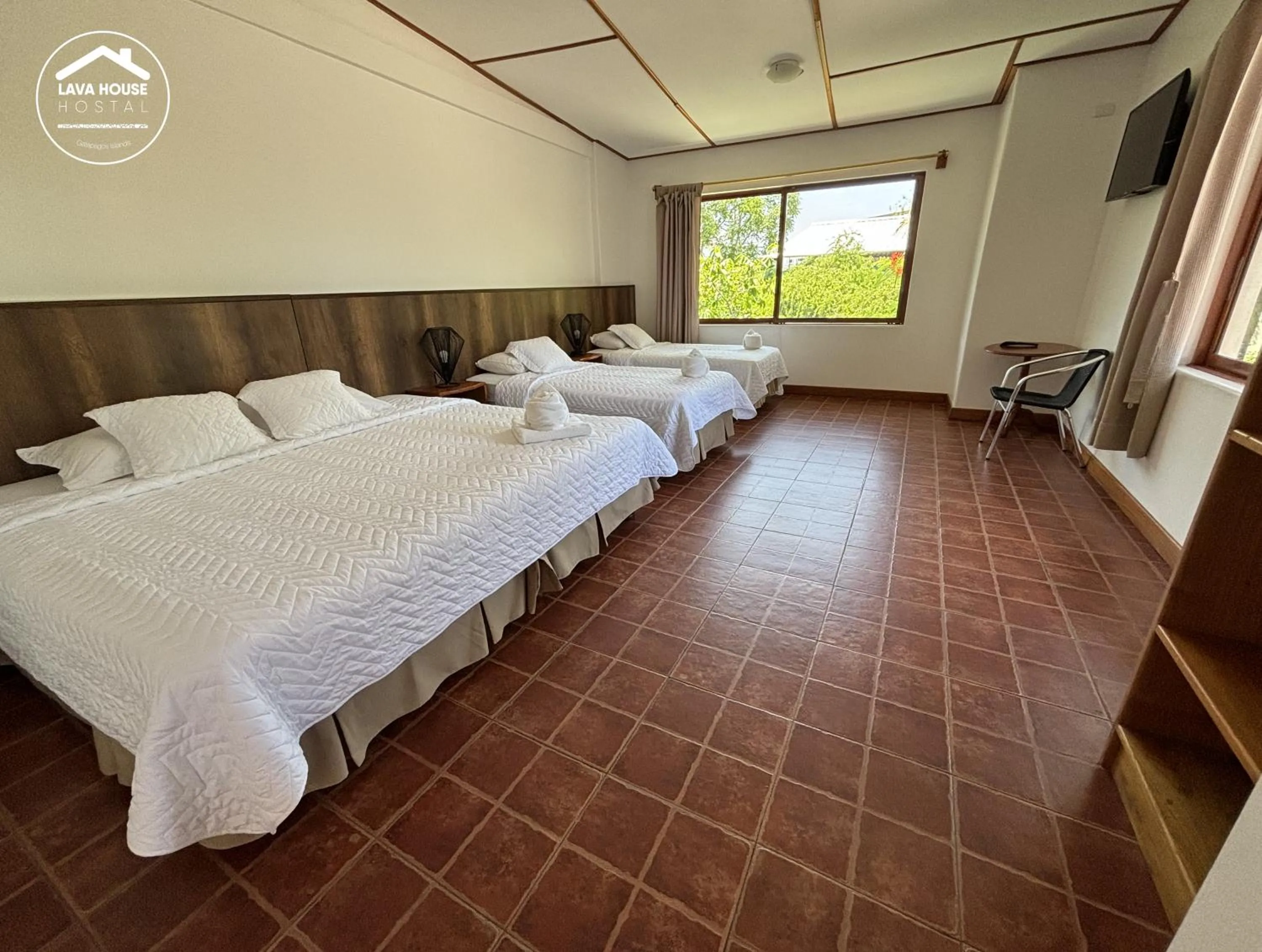 Bed in Lava House Hostal