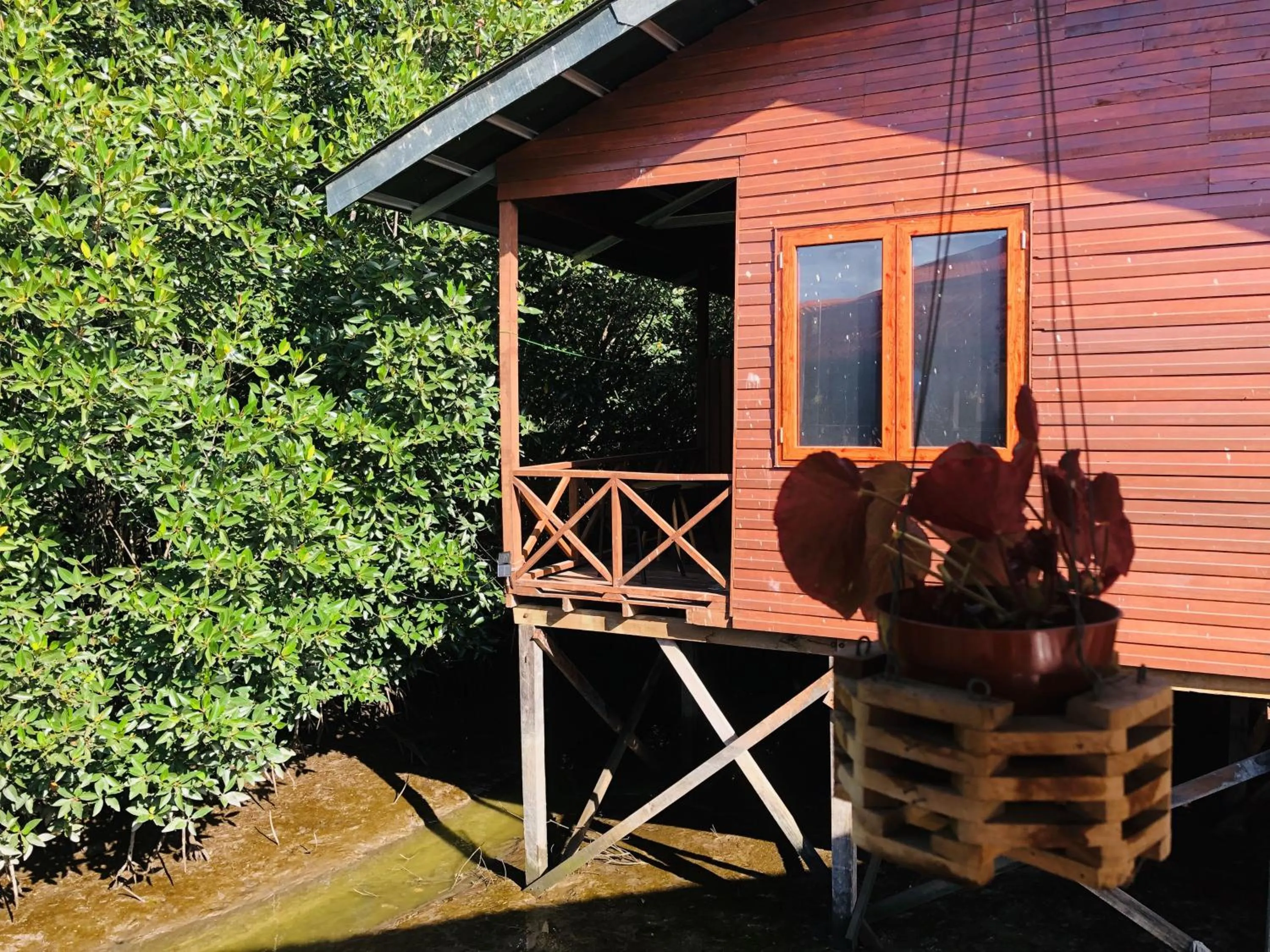 Gayang Friendly Water House Homestay