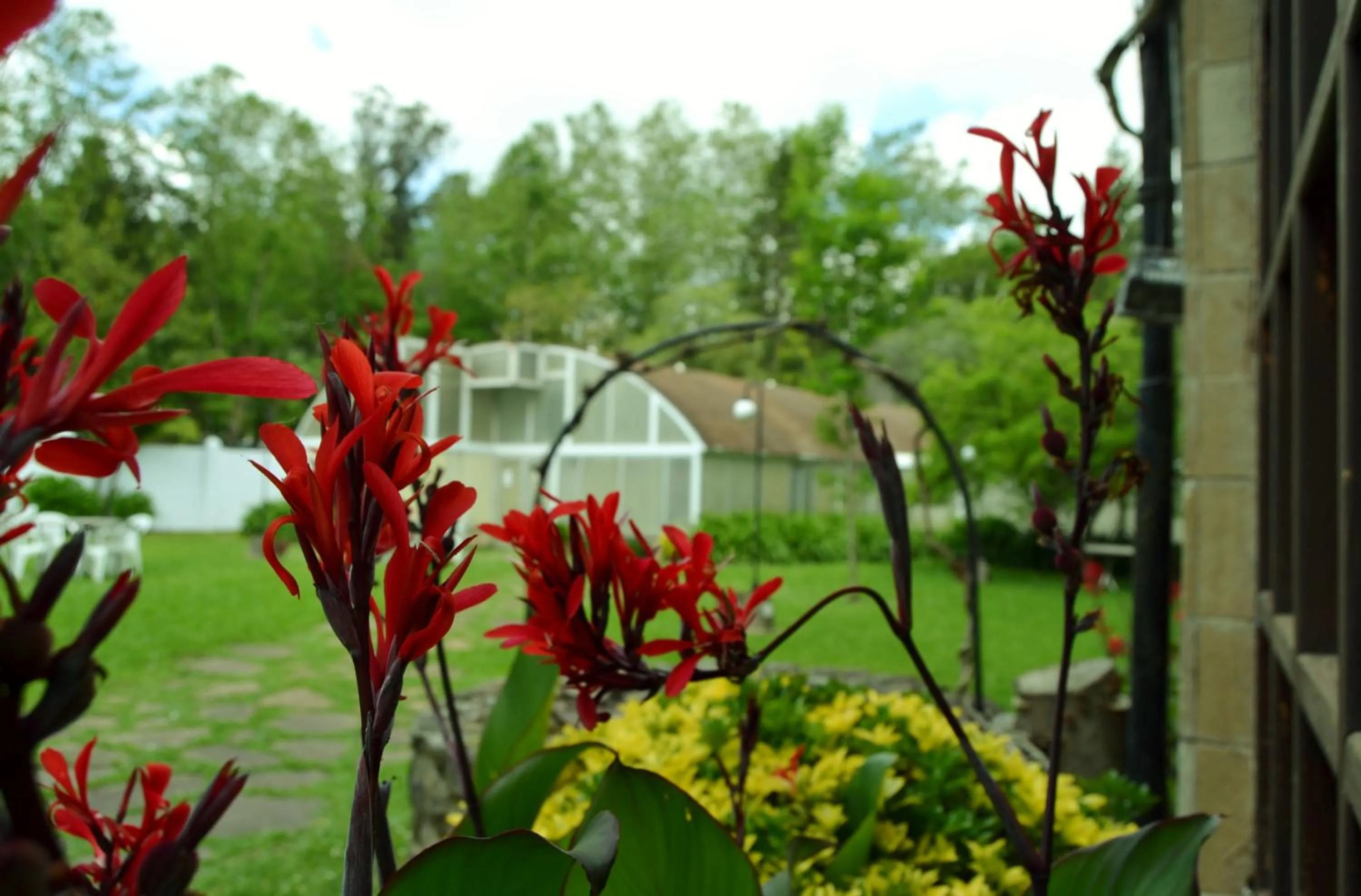 Garden in Hotel Termas de Liérganes