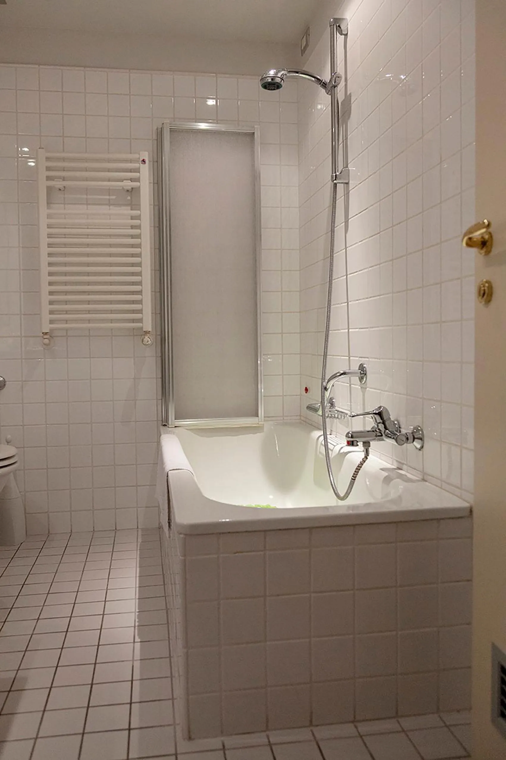 Toilet in Hotel dei Gonzaga