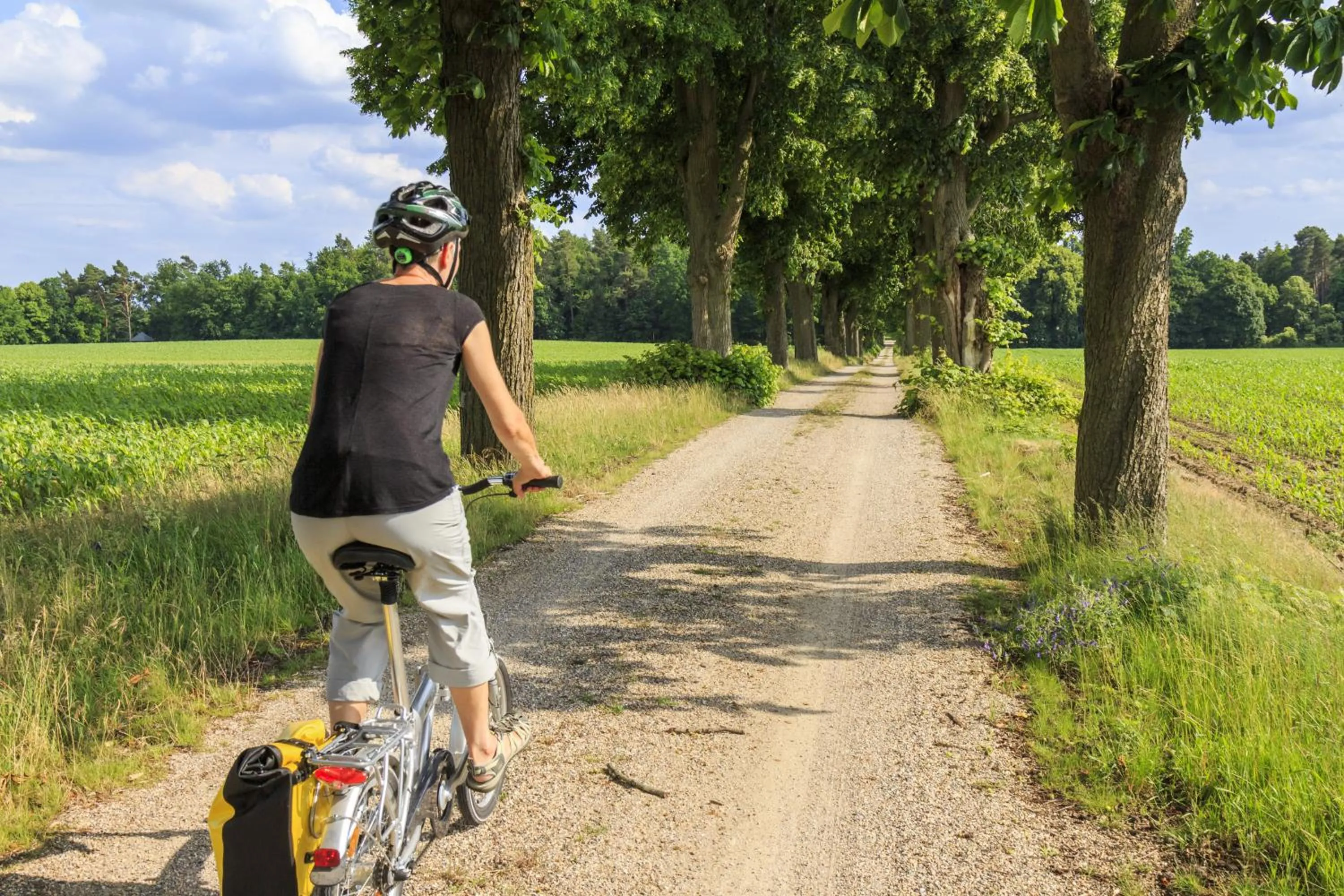Cycling in Landhaus Müritzgarten Hotel garni