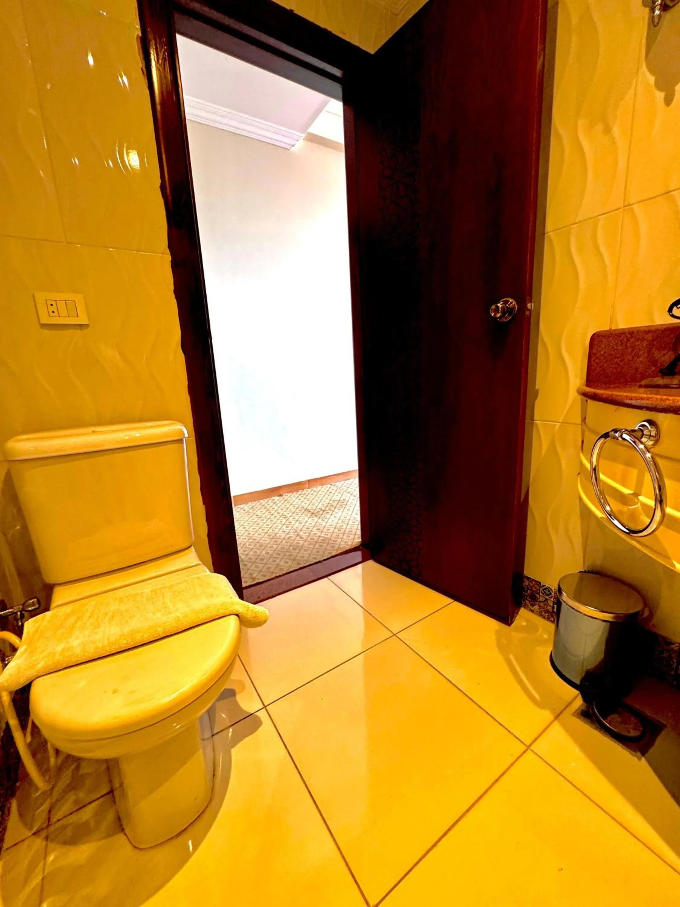 Toilet in PYRAMIDS TOWER Inn