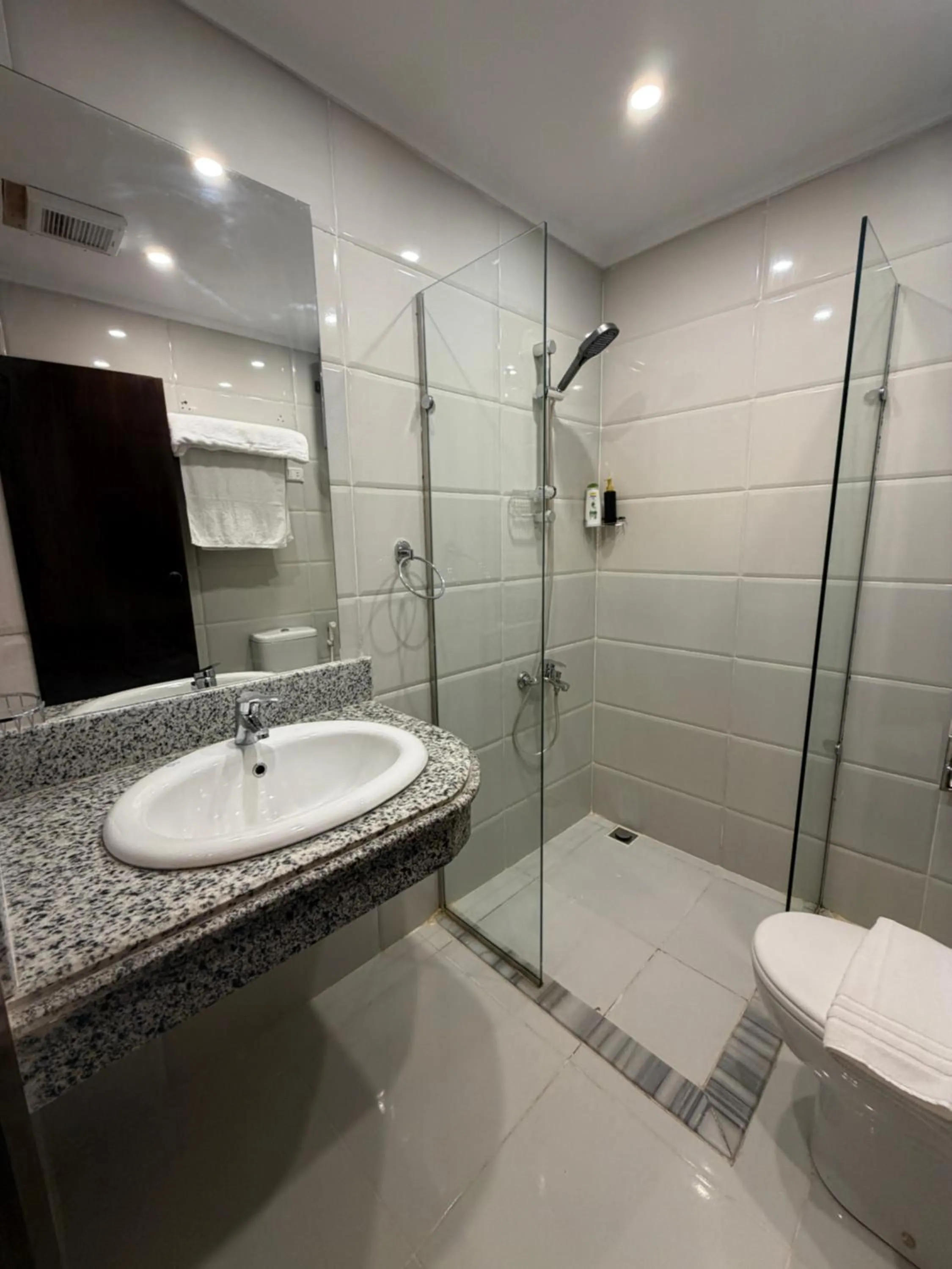 Eco green pyramids hotel