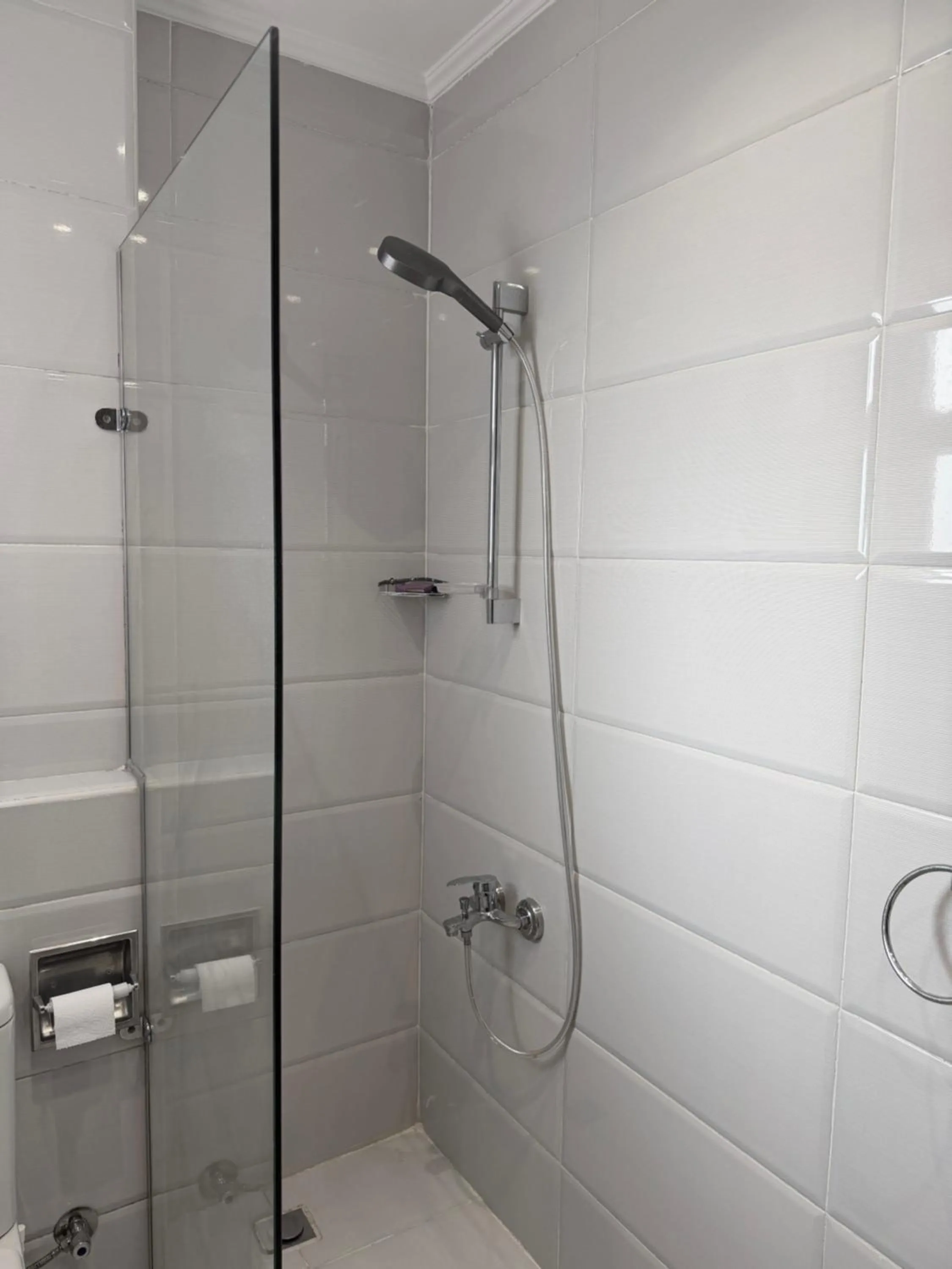 Eco green pyramids hotel