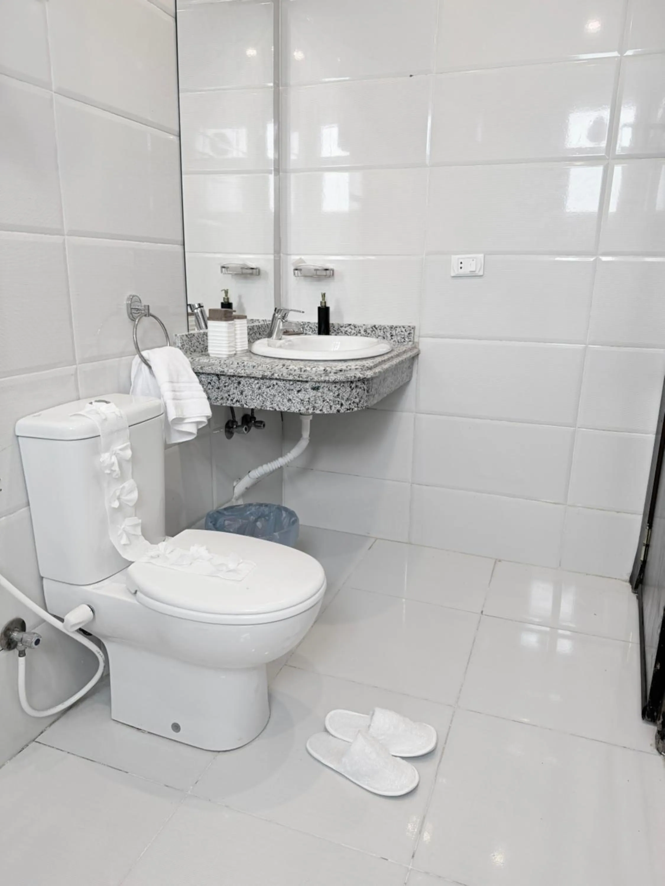 Eco green pyramids hotel