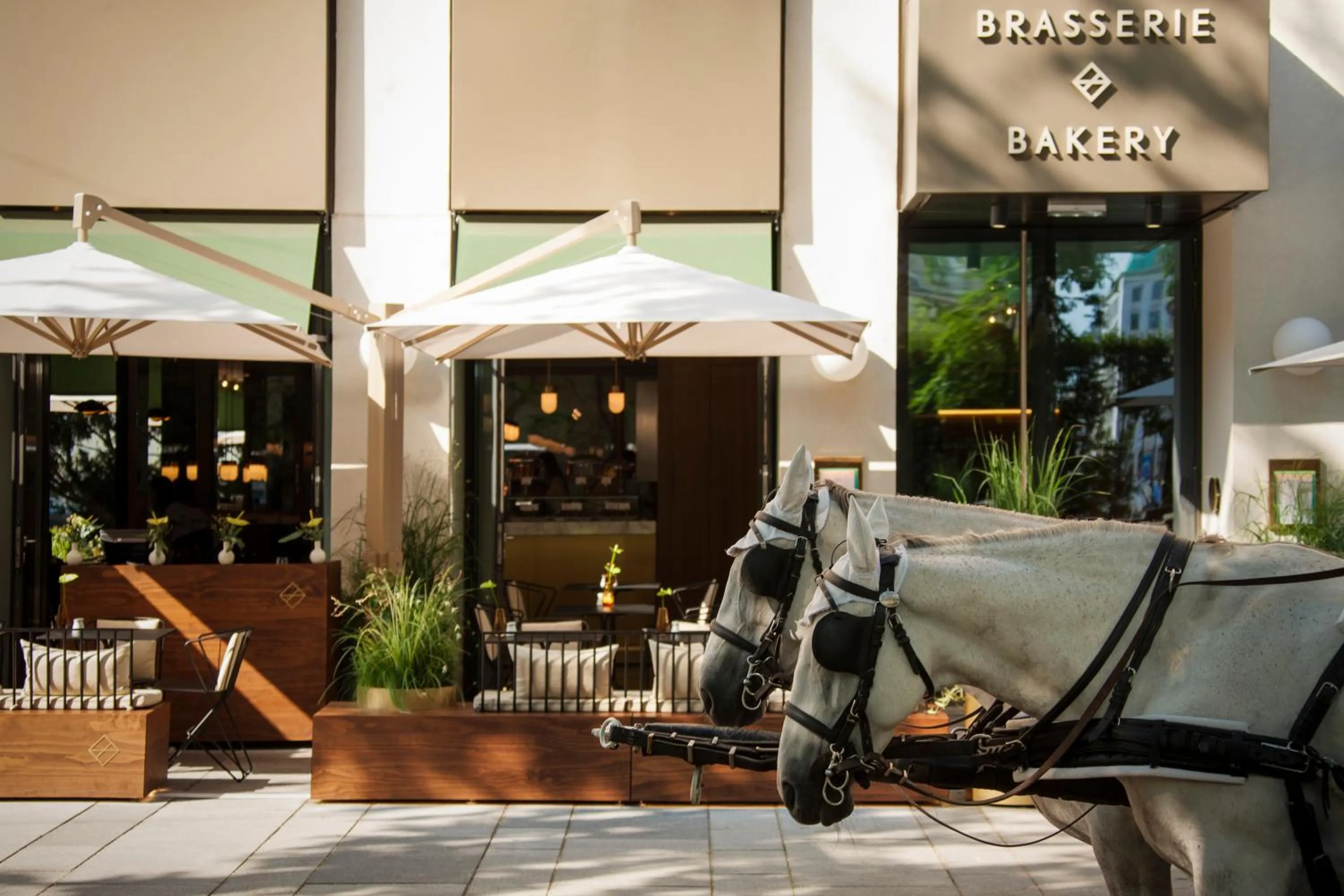 Balcony/Terrace in The Guesthouse Vienna