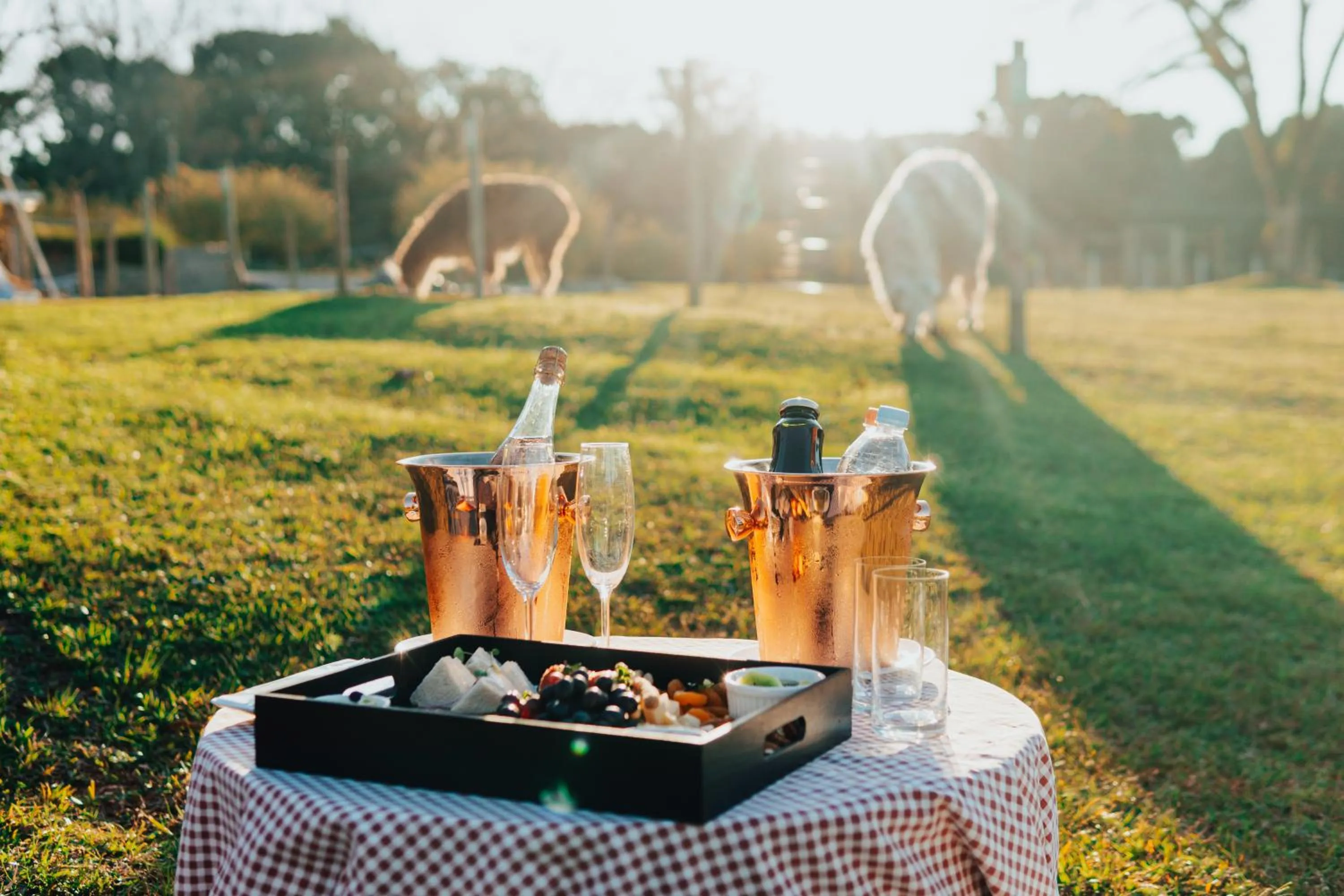 Garden in LOTE20 Hotel Boutique