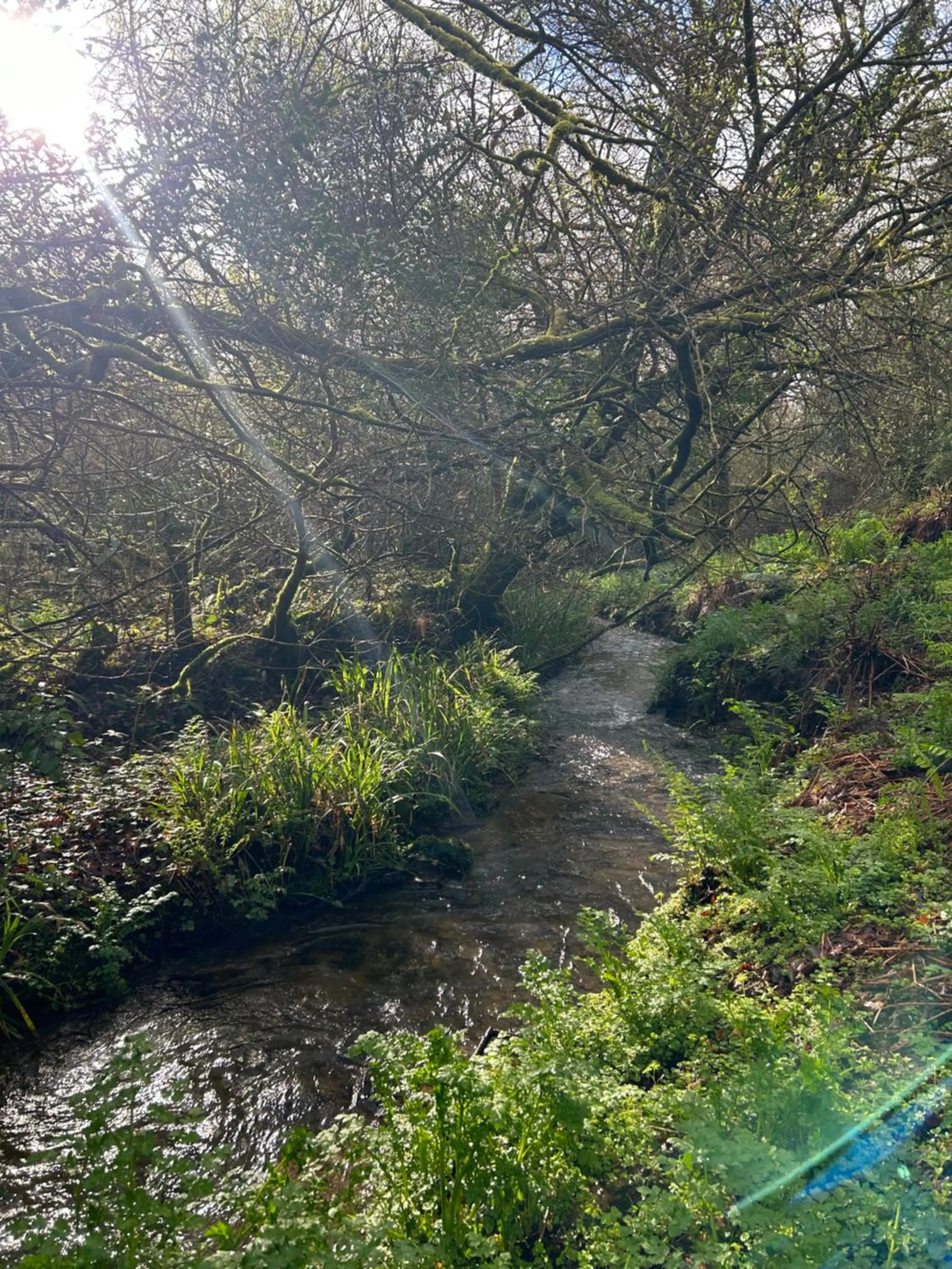 Nearby landmark in Trengilly Wartha Inn