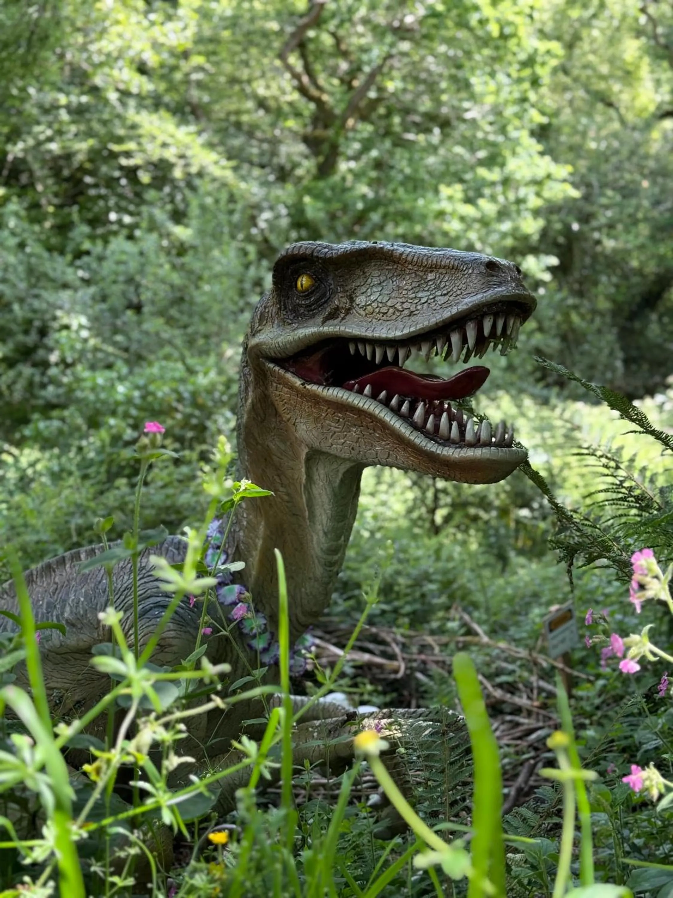 Nearby landmark in Trengilly Wartha Inn