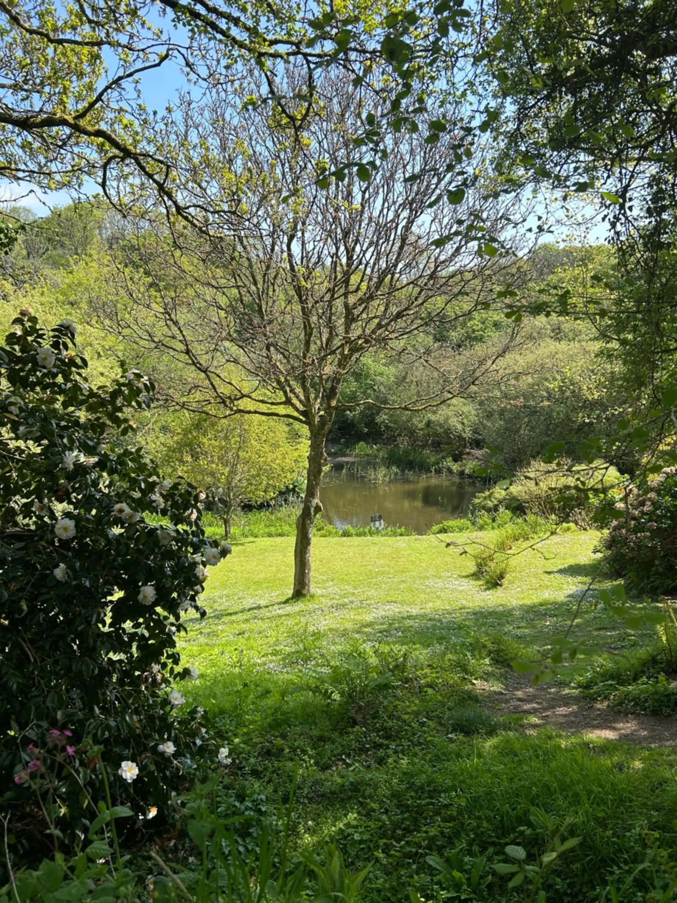Spring in Trengilly Wartha Inn