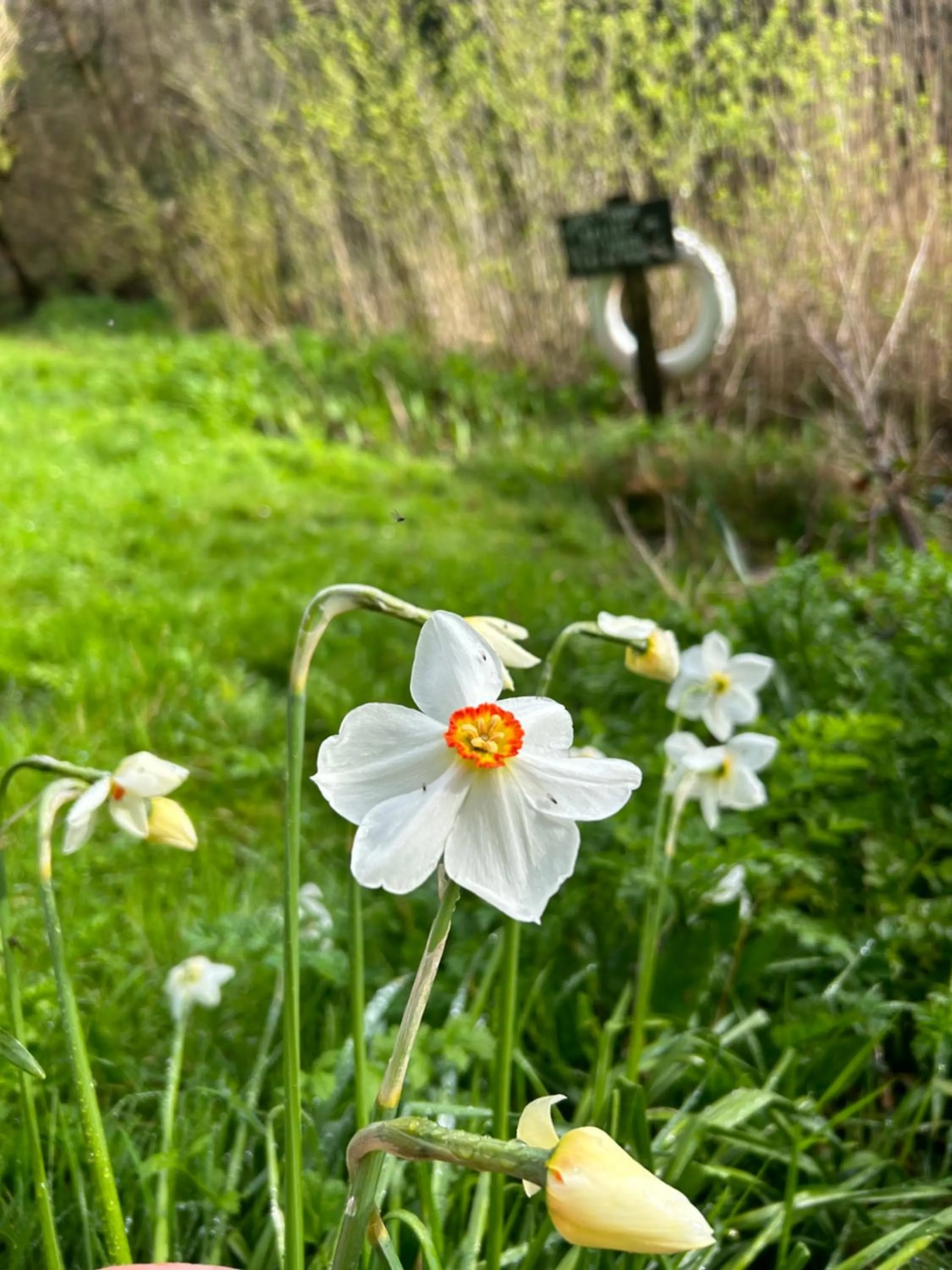 Spring in Trengilly Wartha Inn