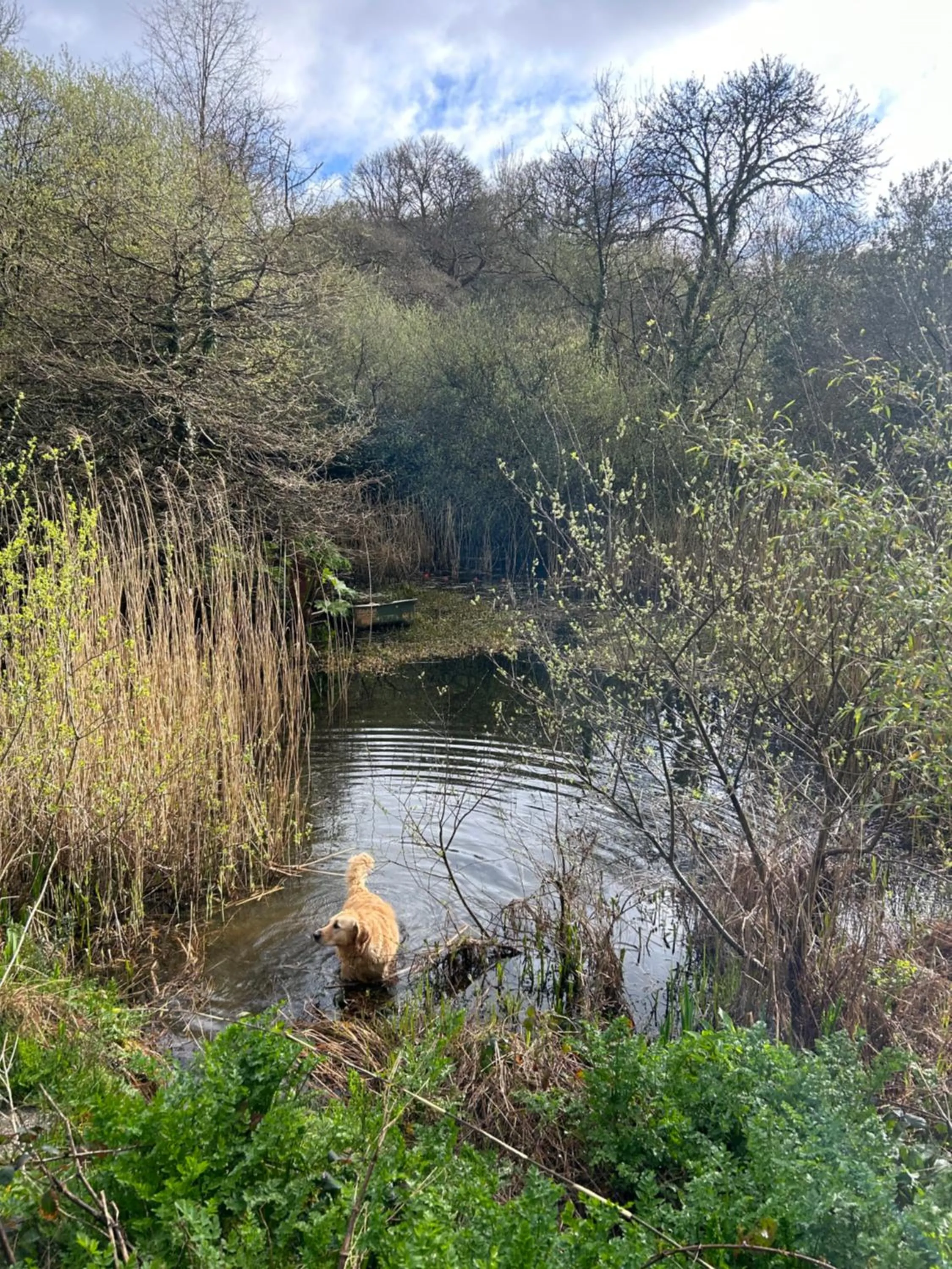 Natural landscape in Trengilly Wartha Inn