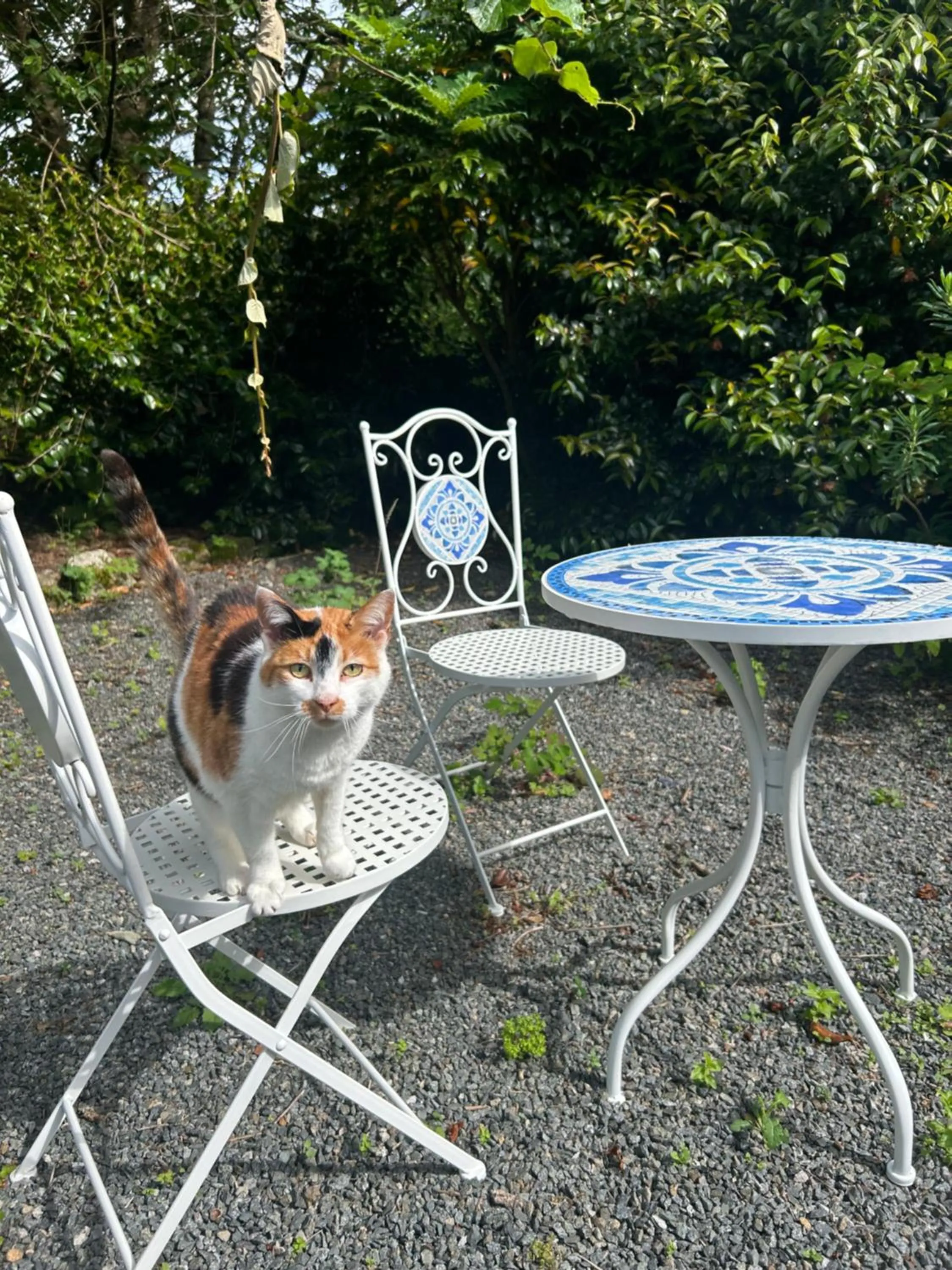 Garden in Trengilly Wartha Inn