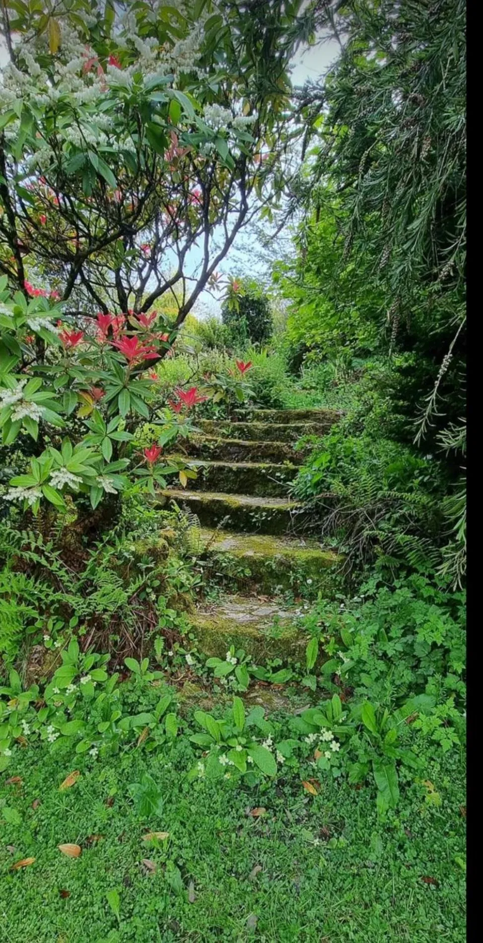 Garden in Trengilly Wartha Inn