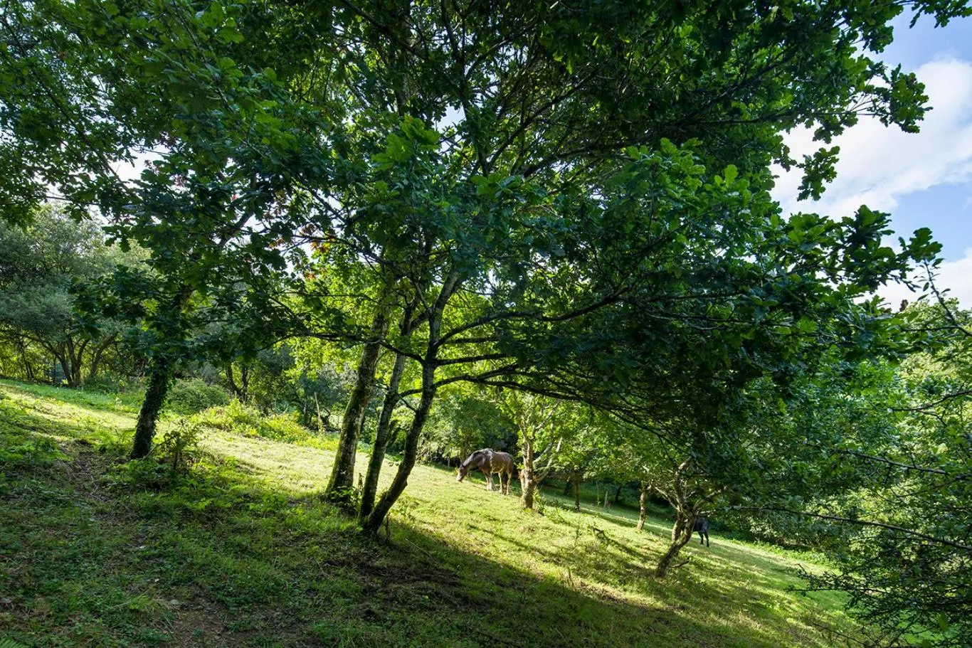 Spring in Trengilly Wartha Inn