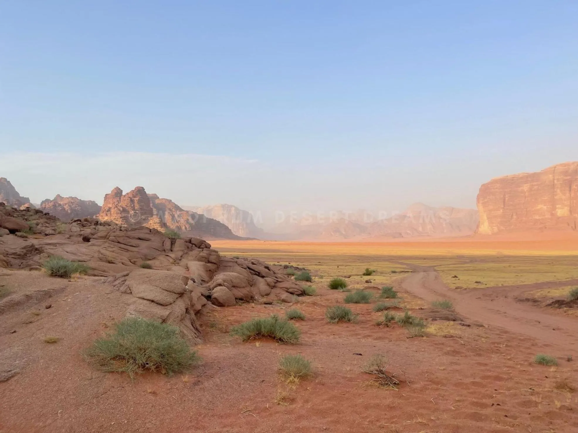 Garden in Wadi Rum Desert Dreams