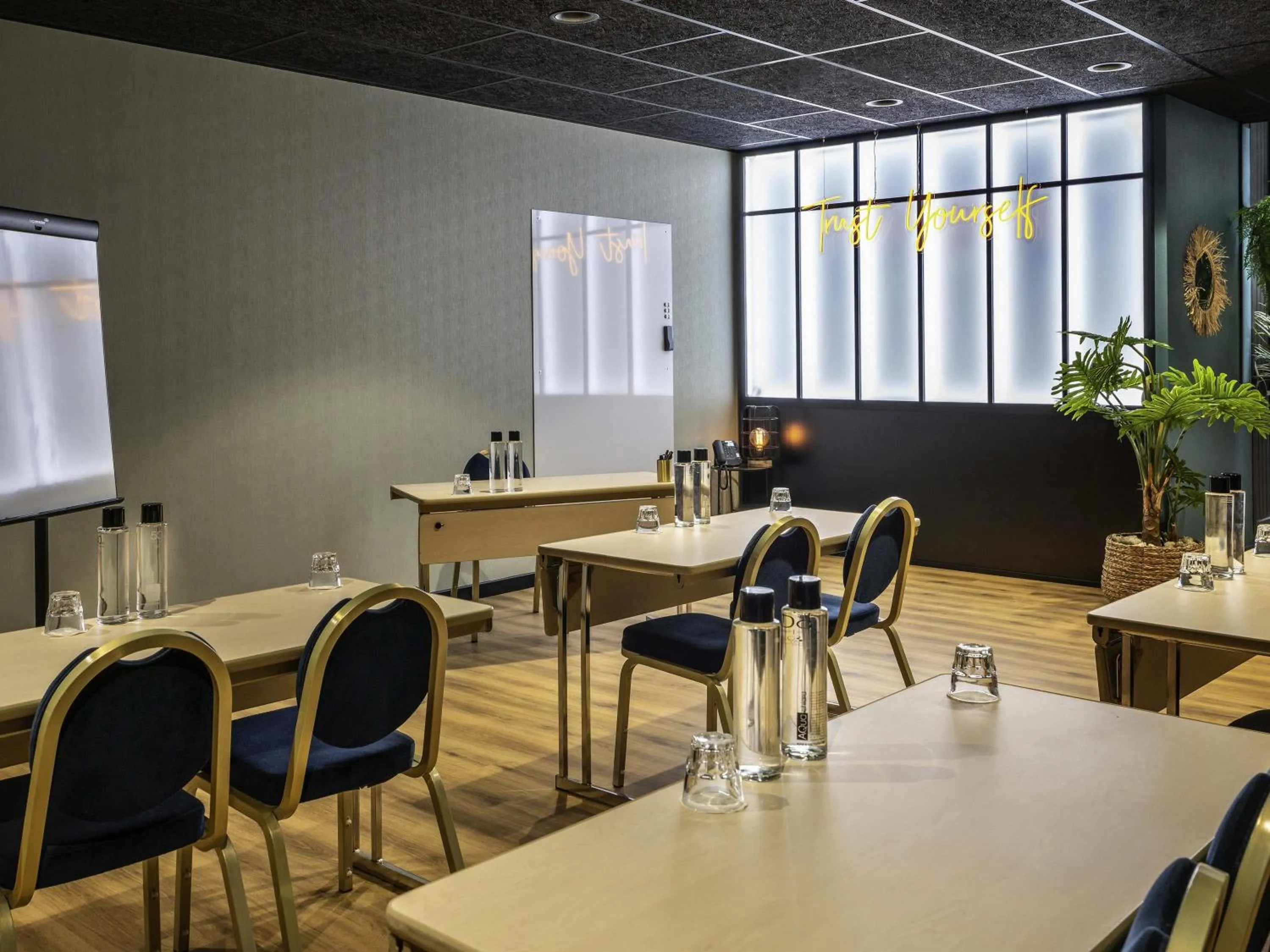 Other in Mercure La Roche Sur Yon